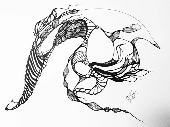 Loxodonta