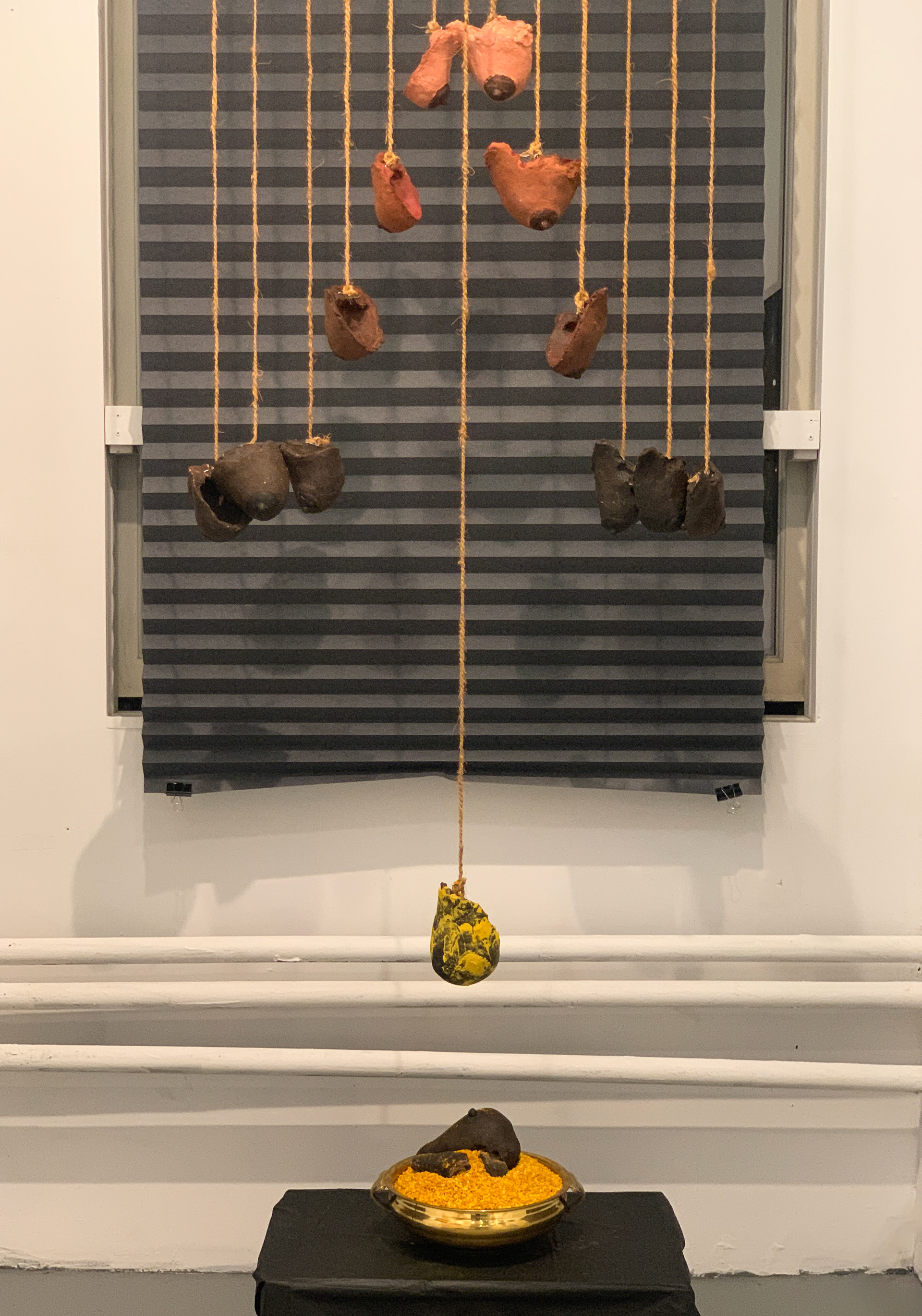 The Unshadowed (installation view), 2025