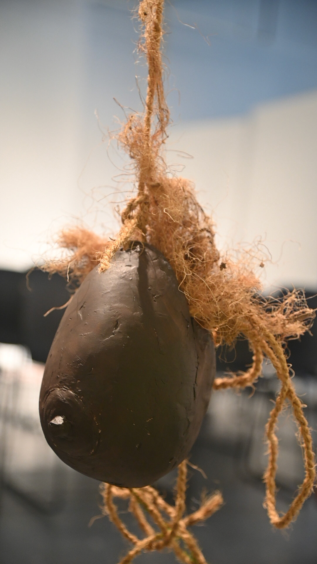 Tear-drop Shaped Clay Breast Breasts