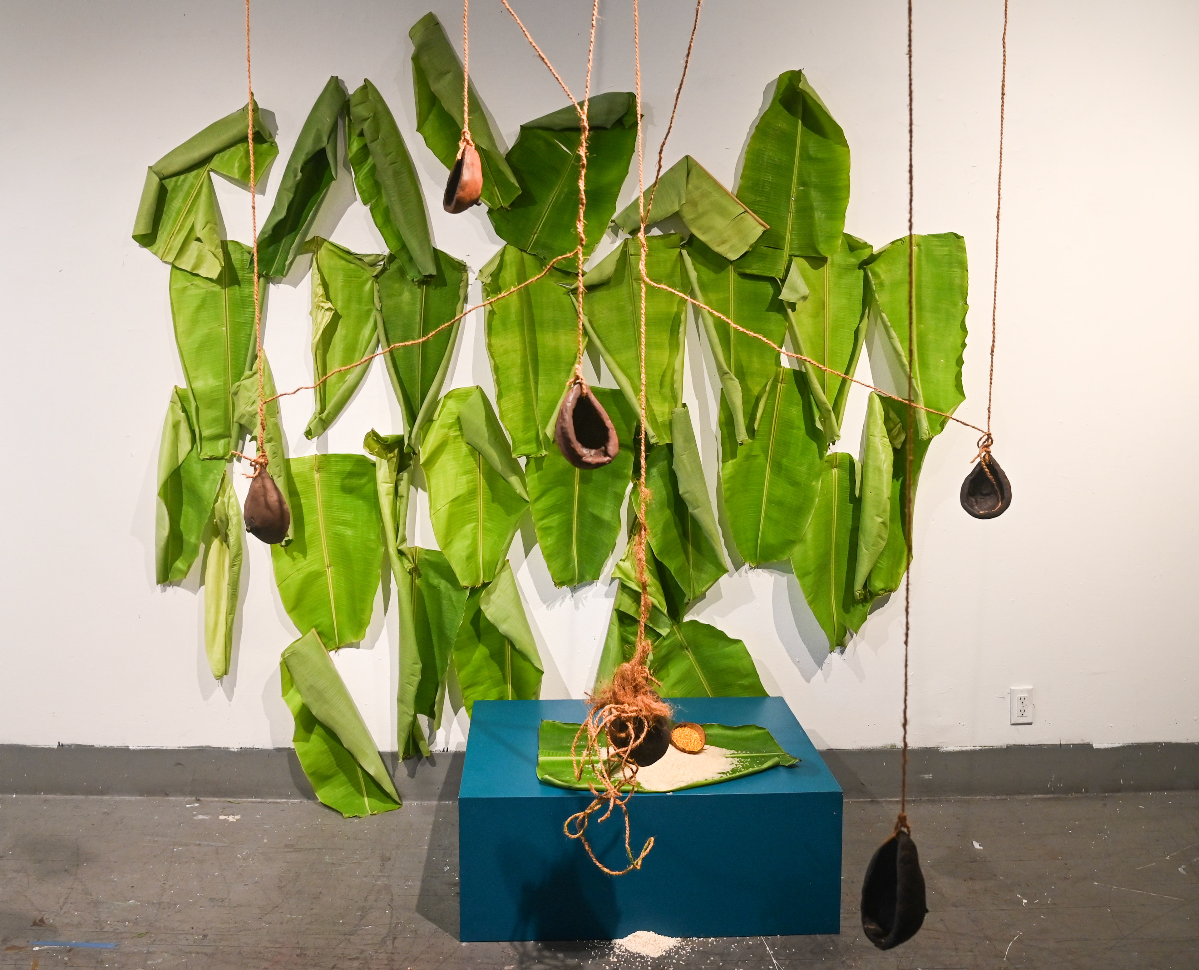 Golden Wounds, Installation View (Coconut Coir, Turmeric, Rice, Clay(breasts hanging), Banana Leaf, Coconut Shells)