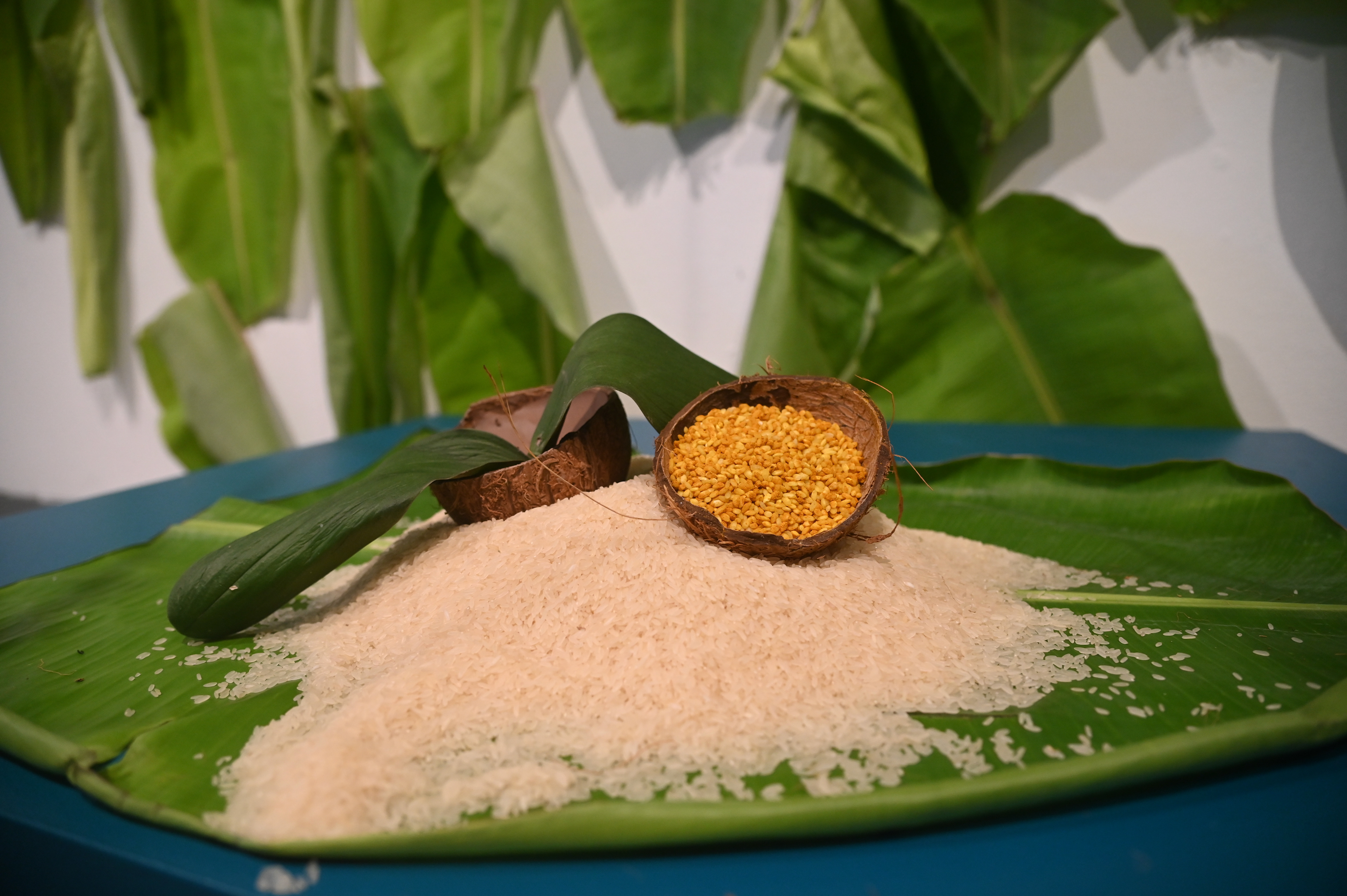 Golden Wounds, 2025, Turmeric, Rice, Clay, Banana Leaf, Coconut Shells