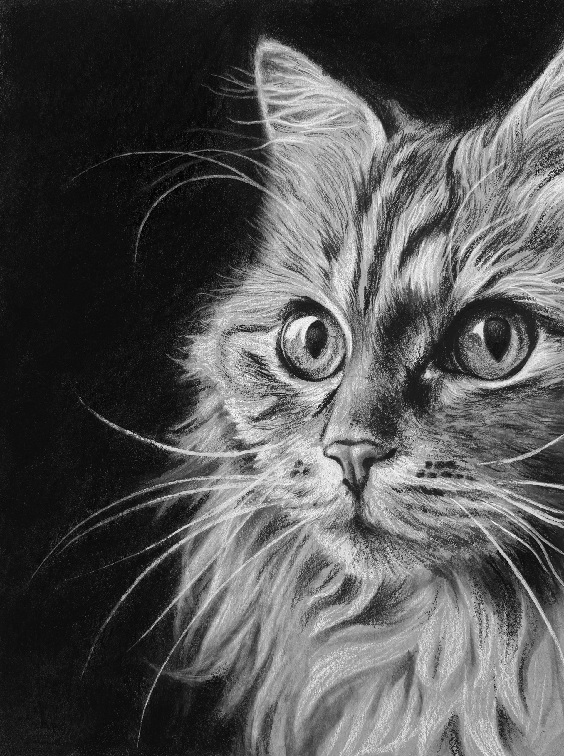 Graphite and Charcoal