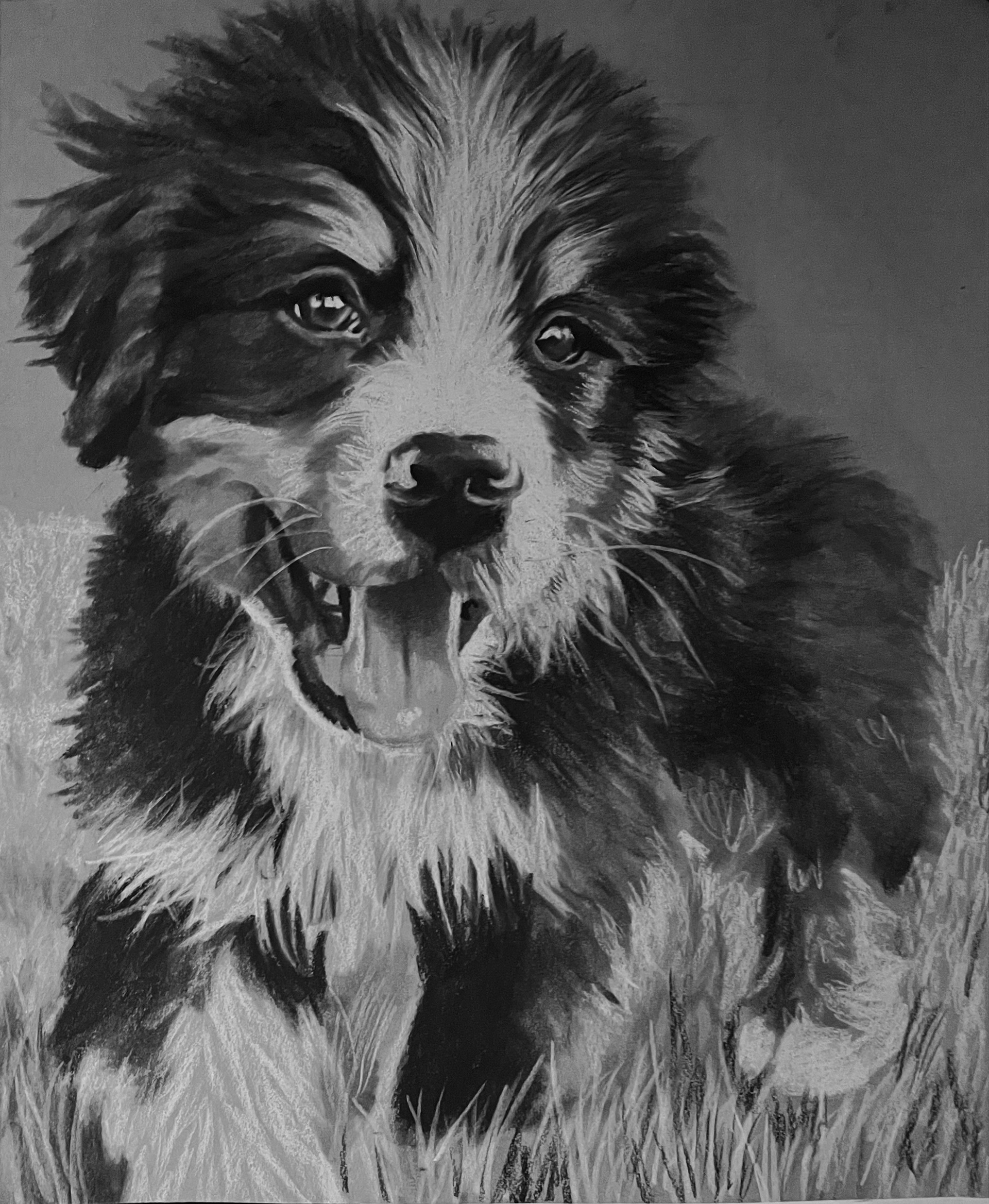 Graphite and Charcoal