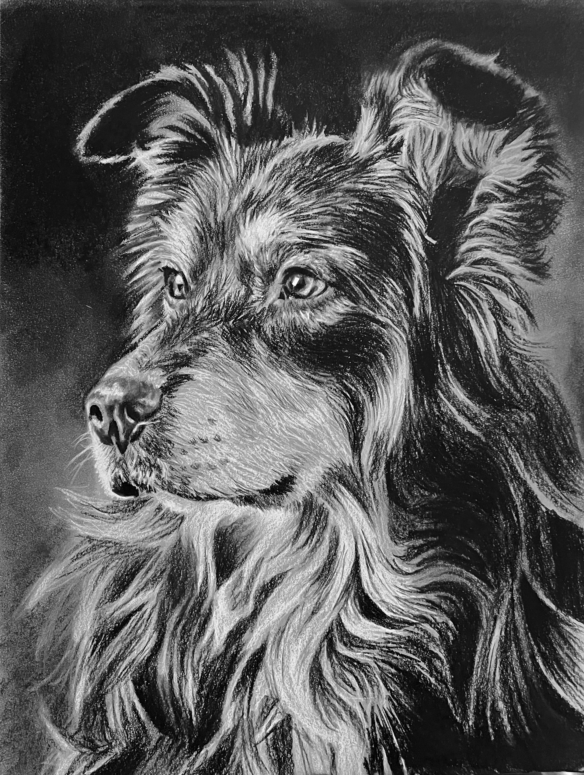 Graphite and Charcoal