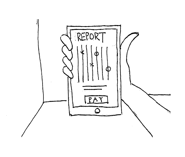 Data scientist generated detailed report later