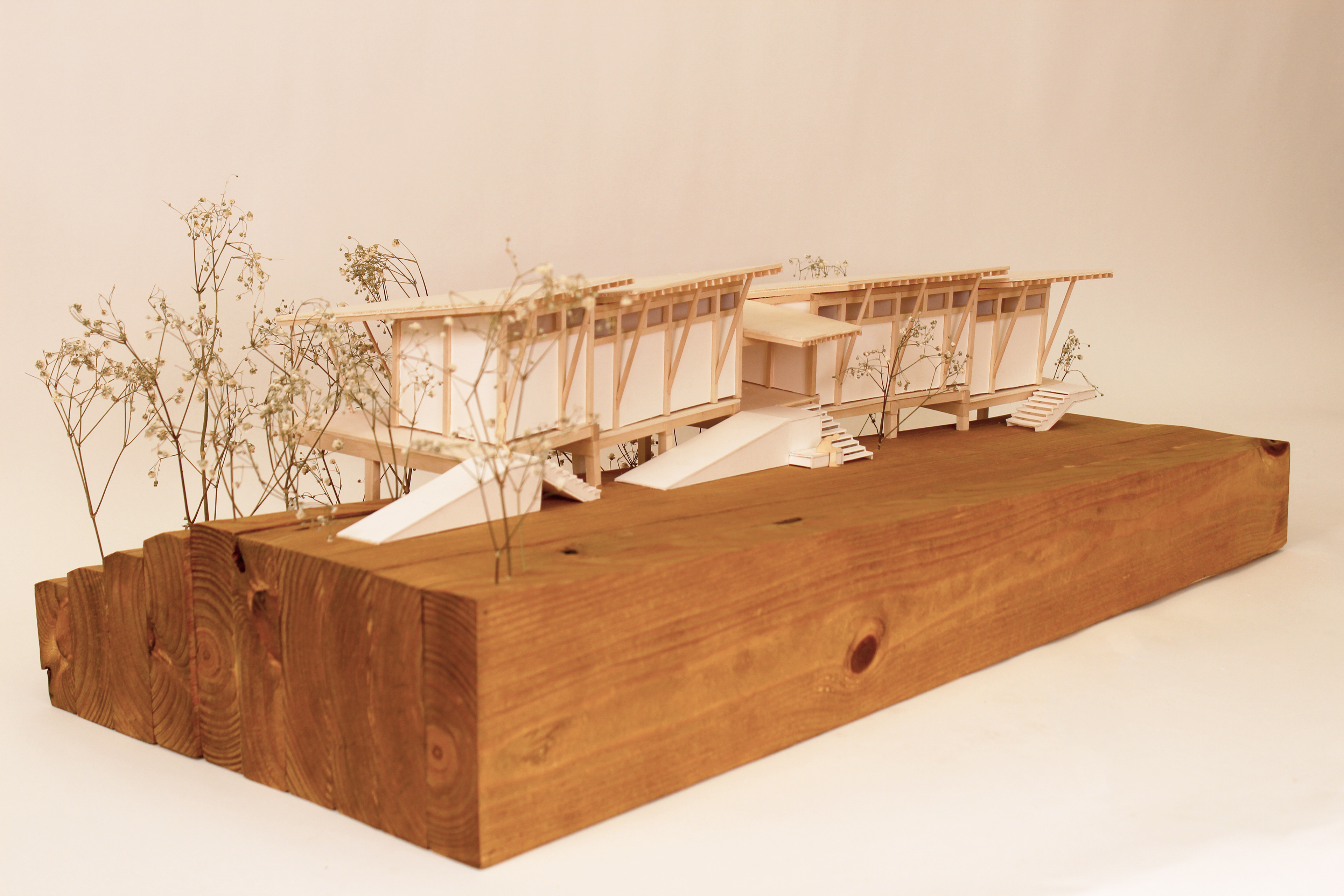 1:50 hand-cut model, William Trotter