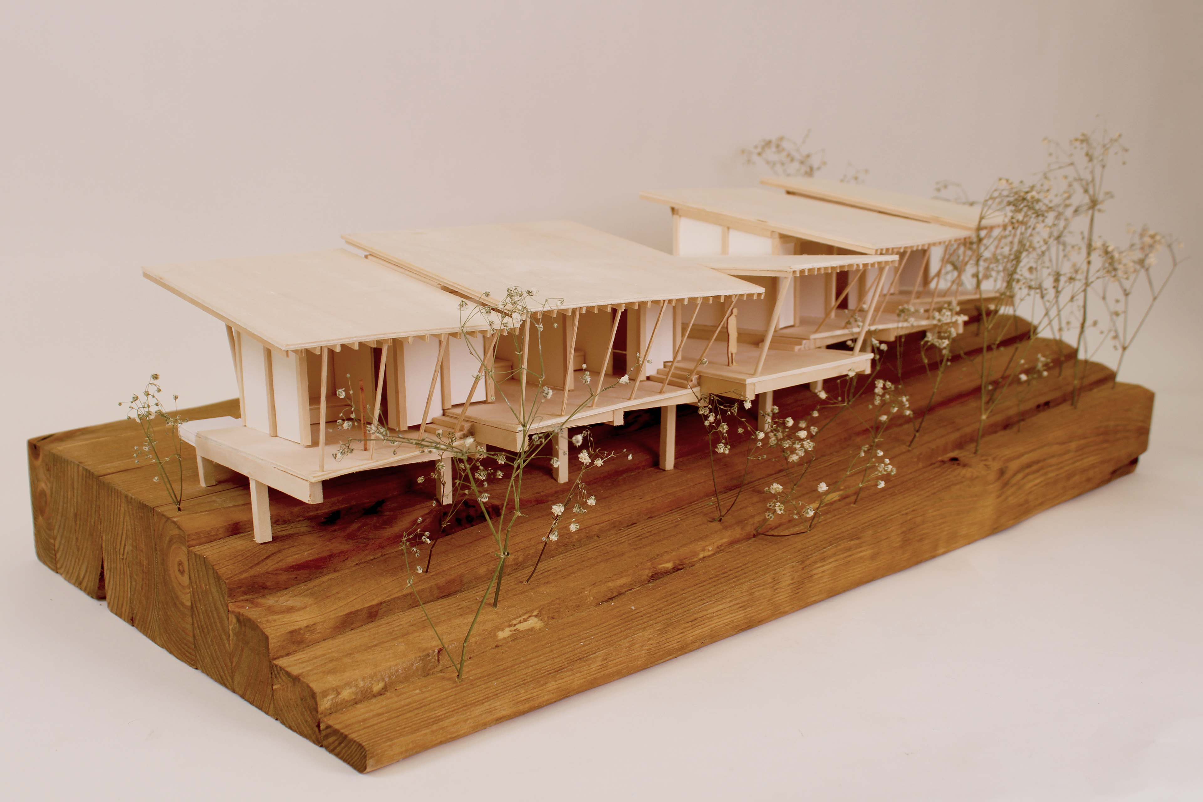 1:50 hand-cut model, William Trotter