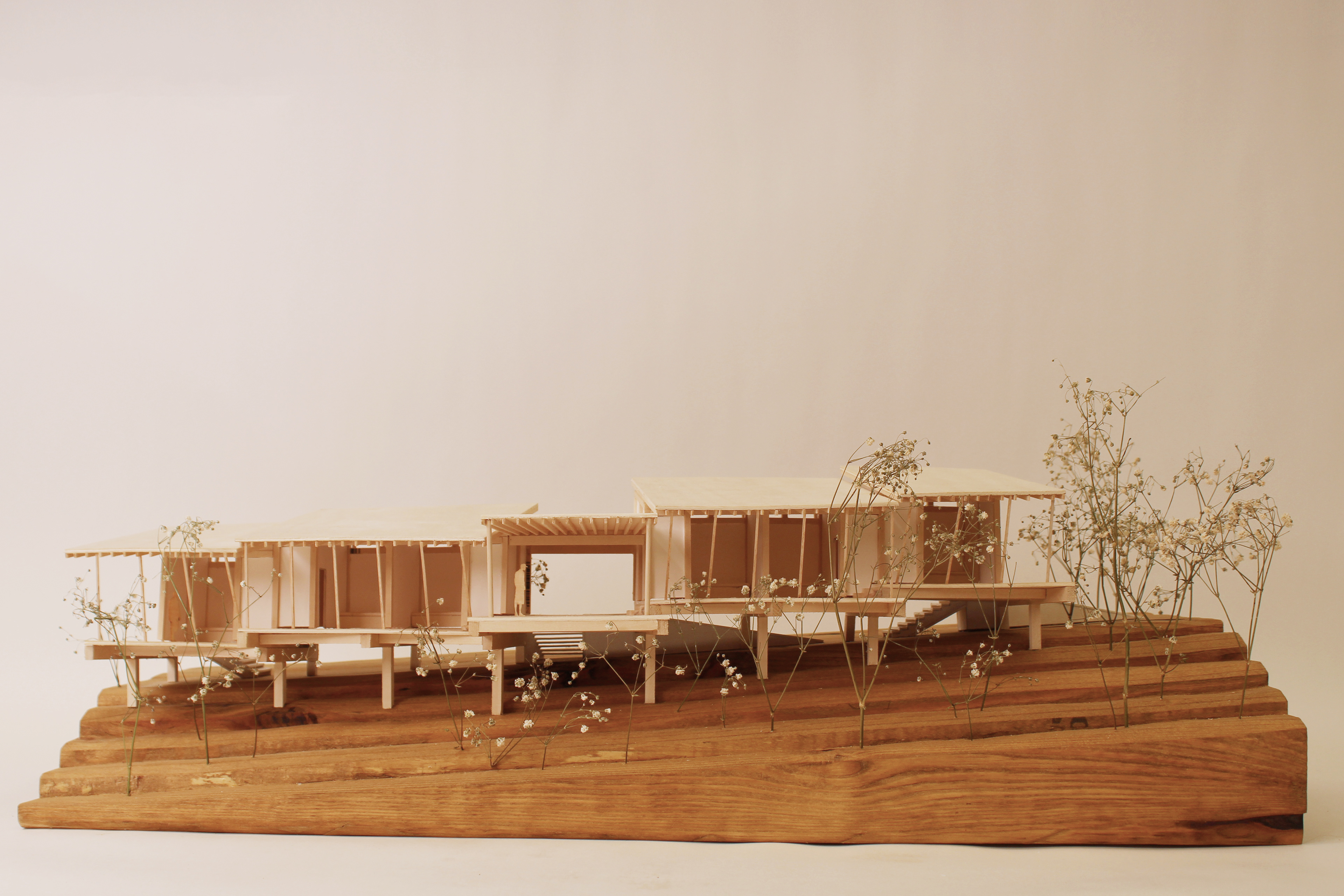 1:50 hand-cut model, William Trotter