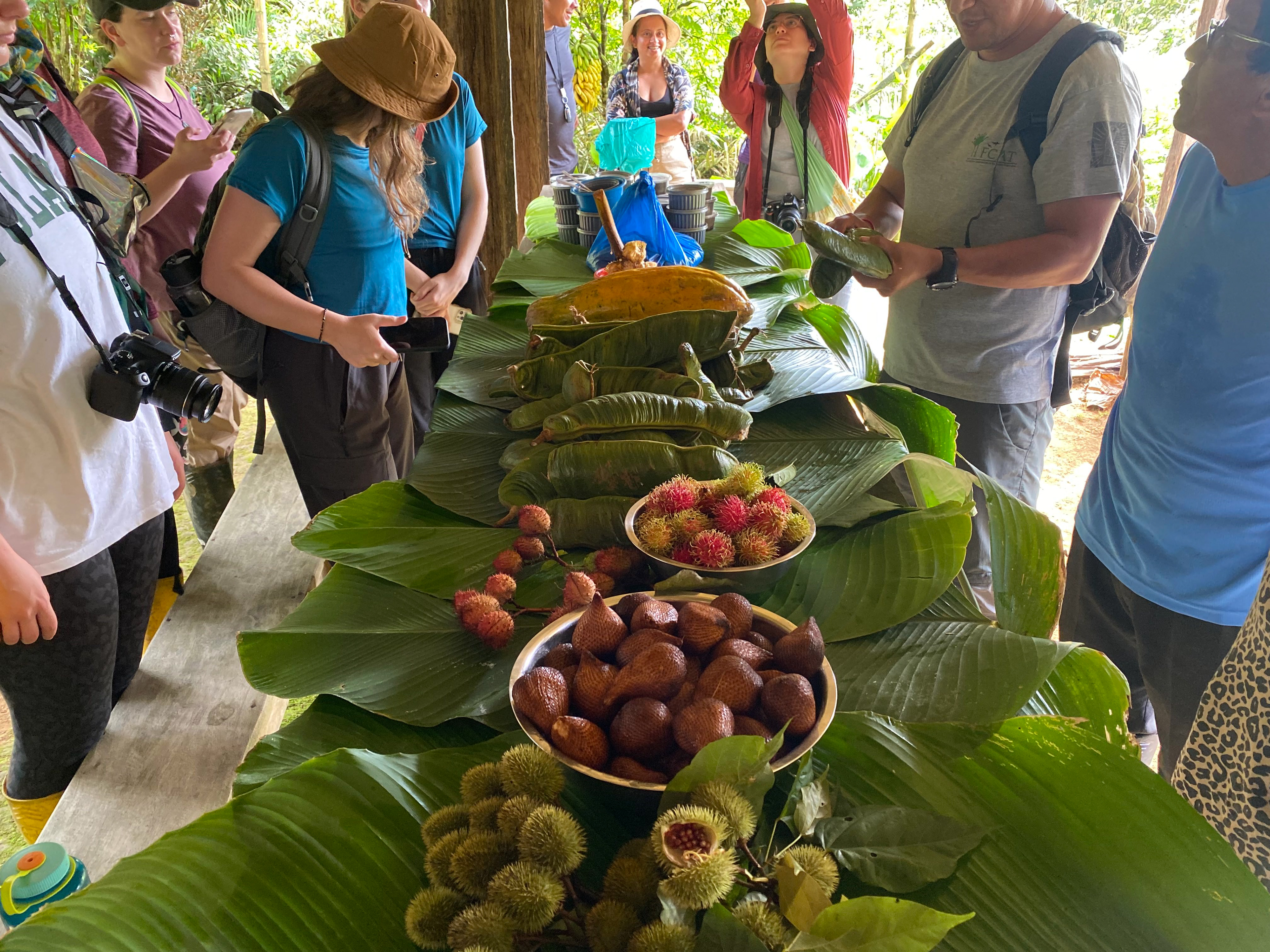 fruit yield from neighboring farm