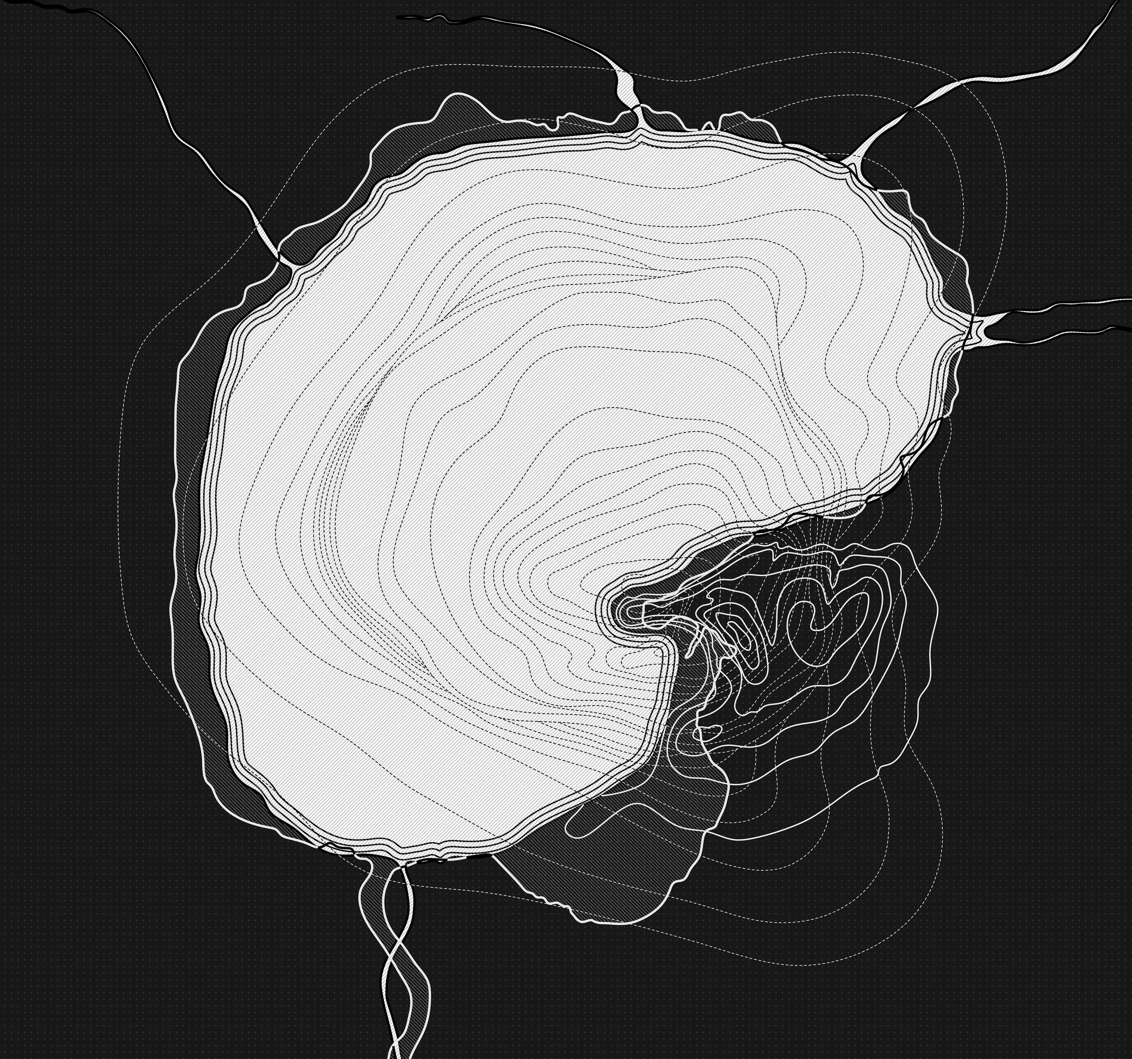 superimposition of topography: salt dome and Jefferson Island