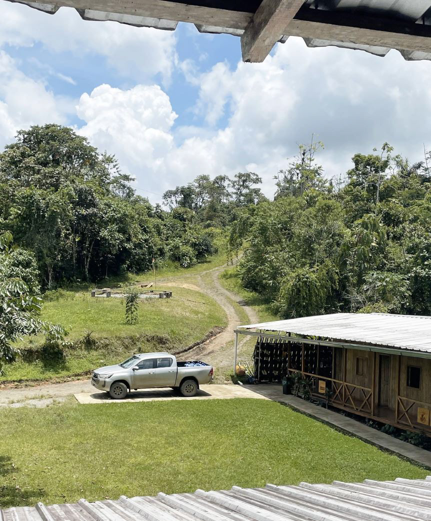 site, facing northwest