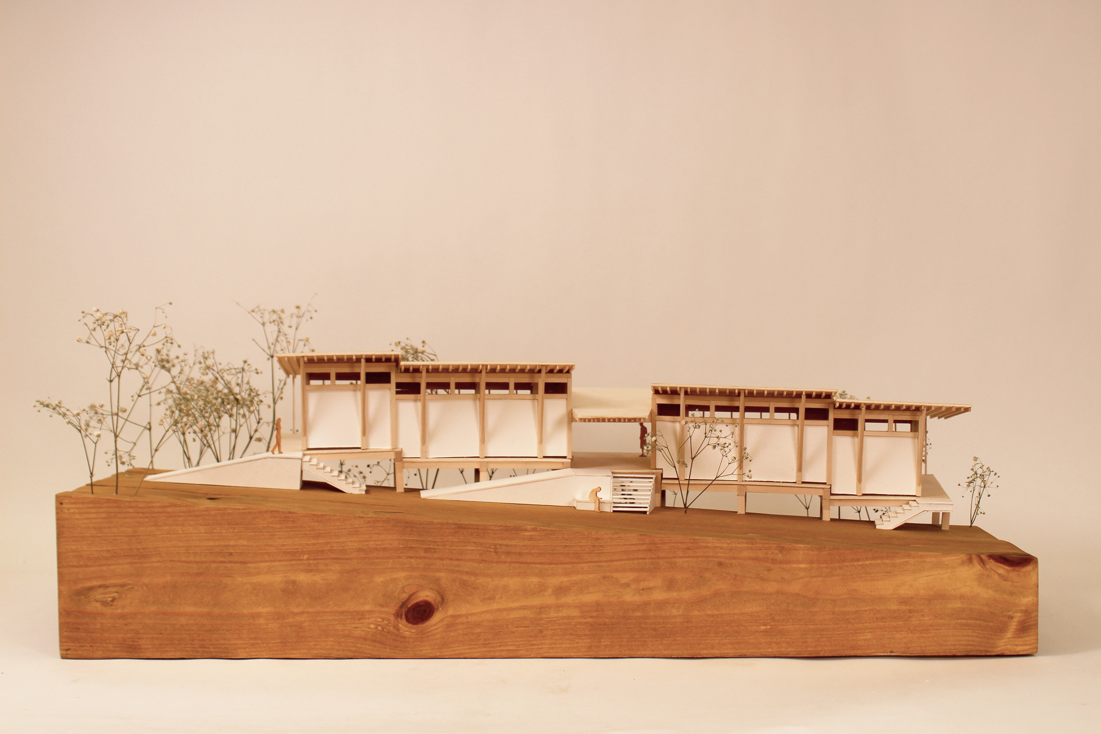 1:50 hand-cut model, William Trotter