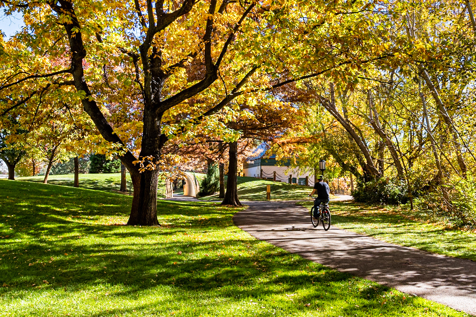 The Tunnel at 13th Street: Autumn