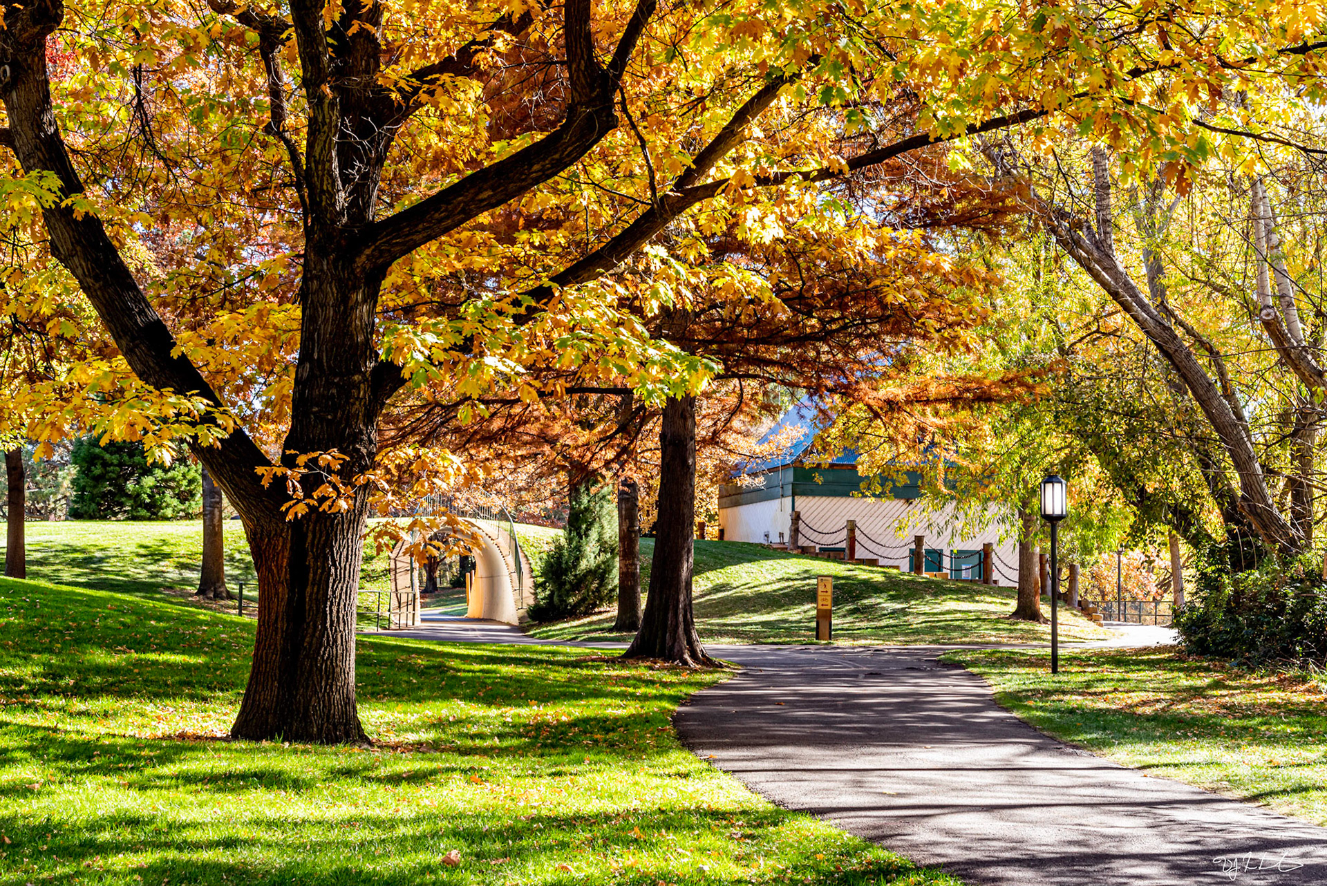 The Tunnel at 13th Street: Autumn