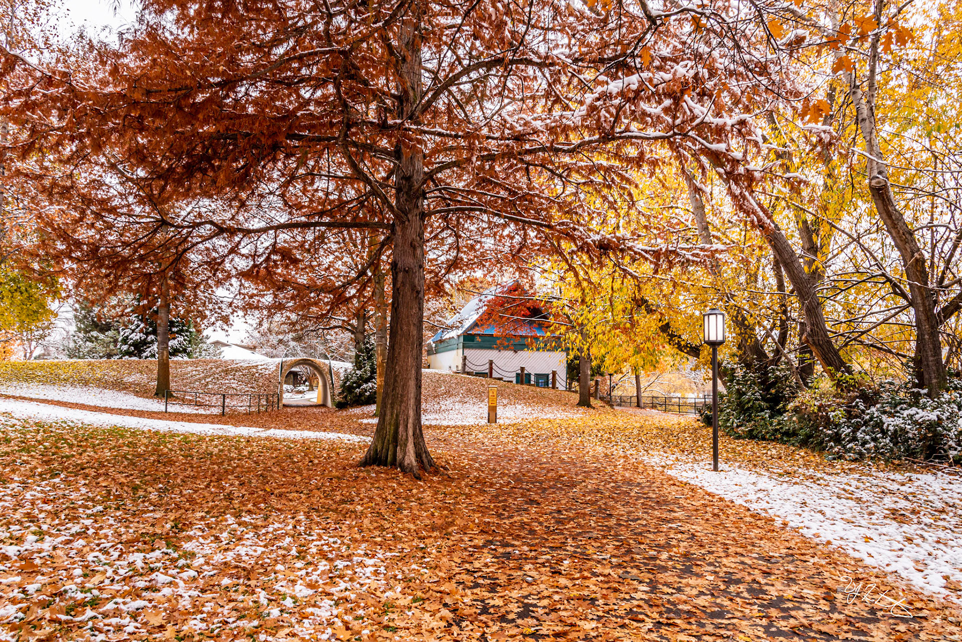 The Tunnel at 13th Street: LateAutumn