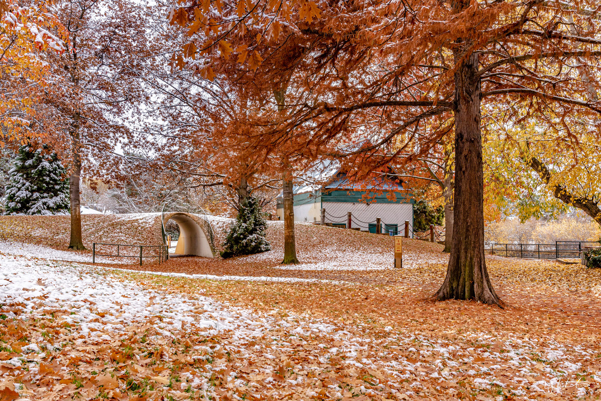 The Tunnel at 13th Street: Late Autumn