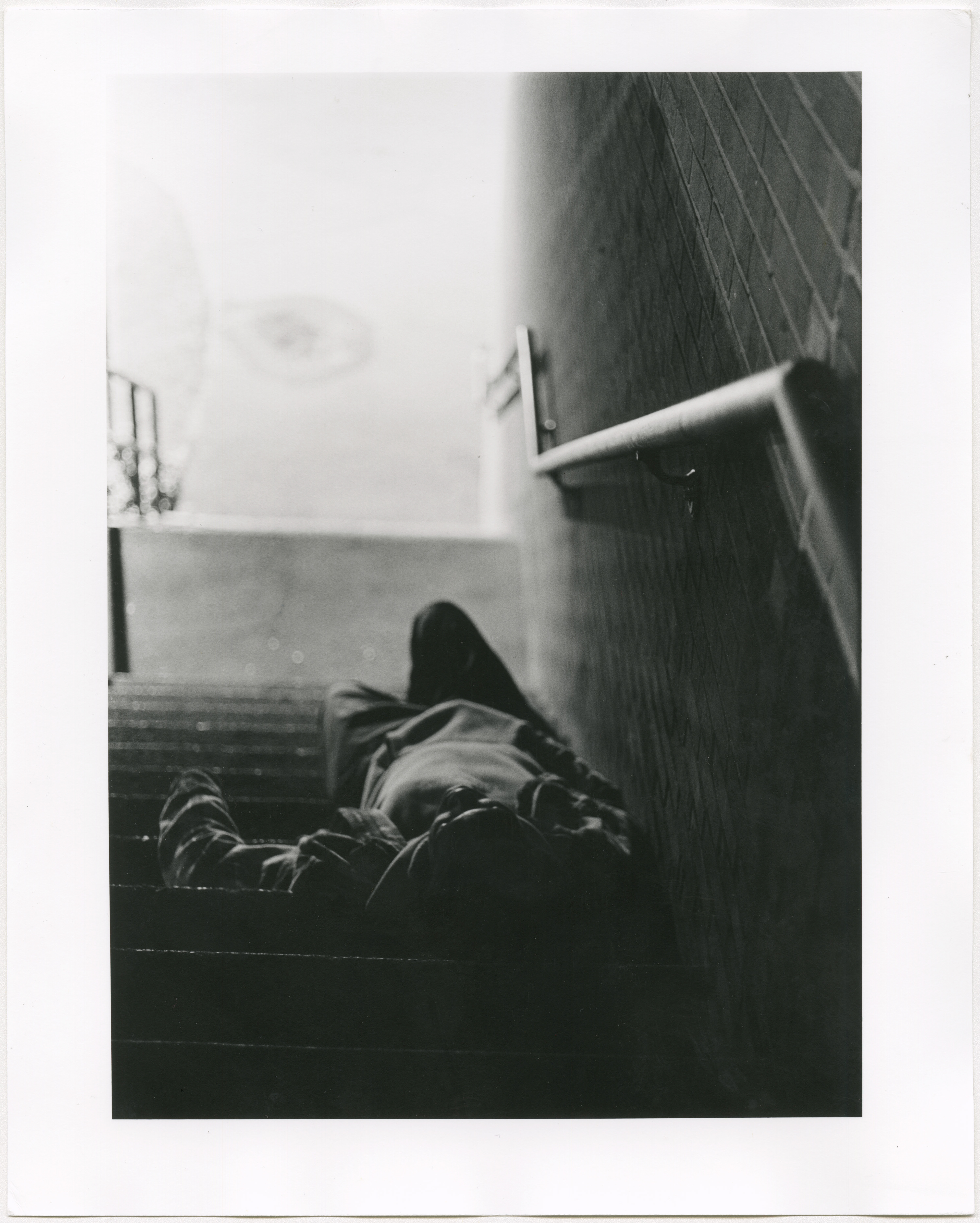 Replication, Senior Art Gallery Official Selection