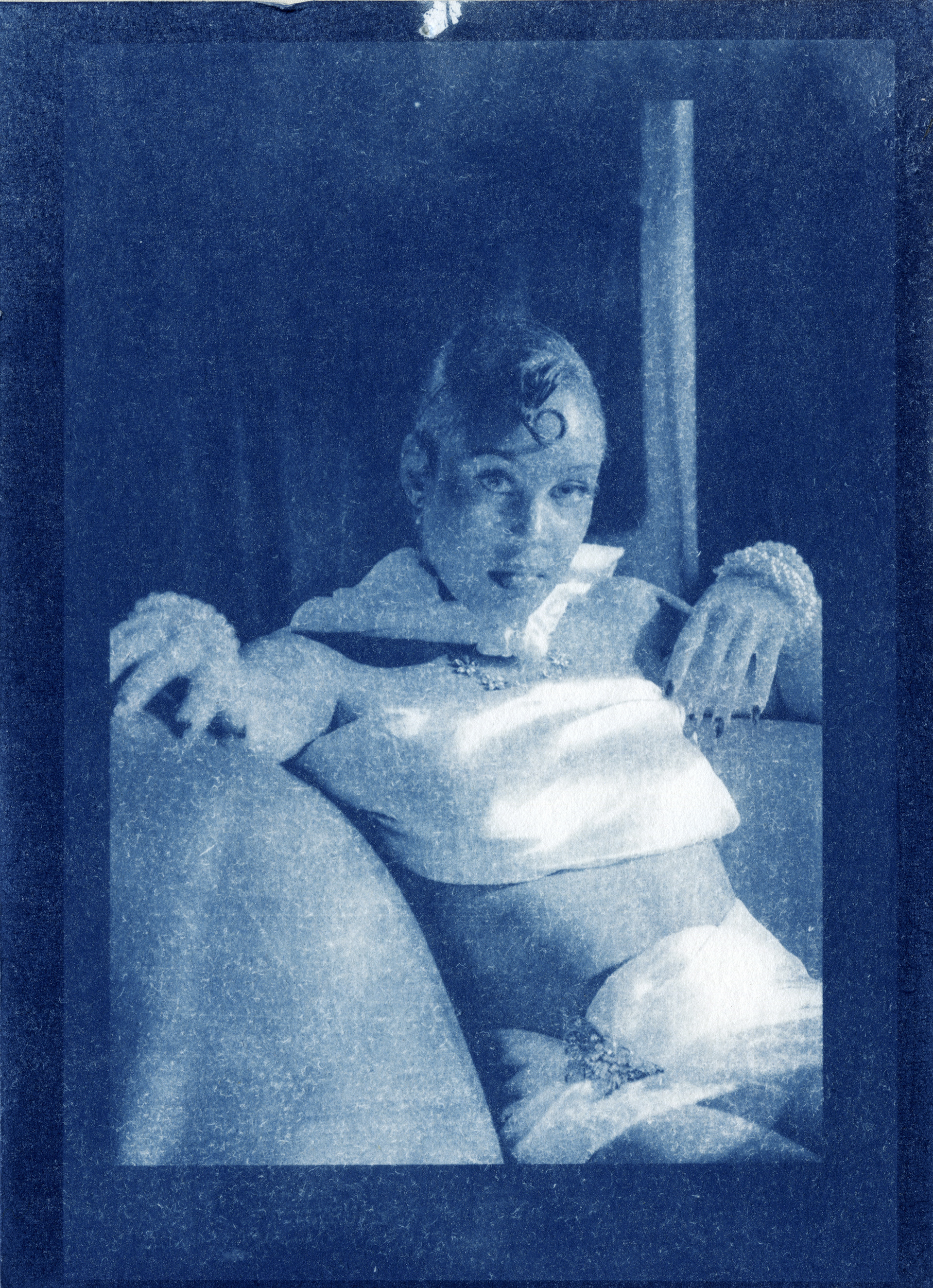 Cyanotype 2025