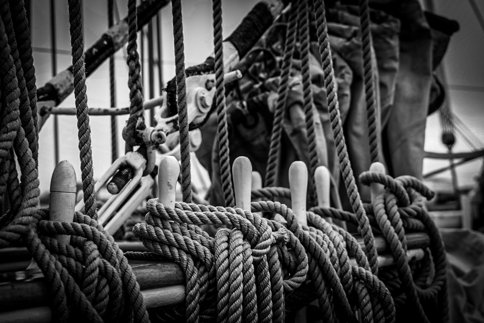 A bord du BELEM