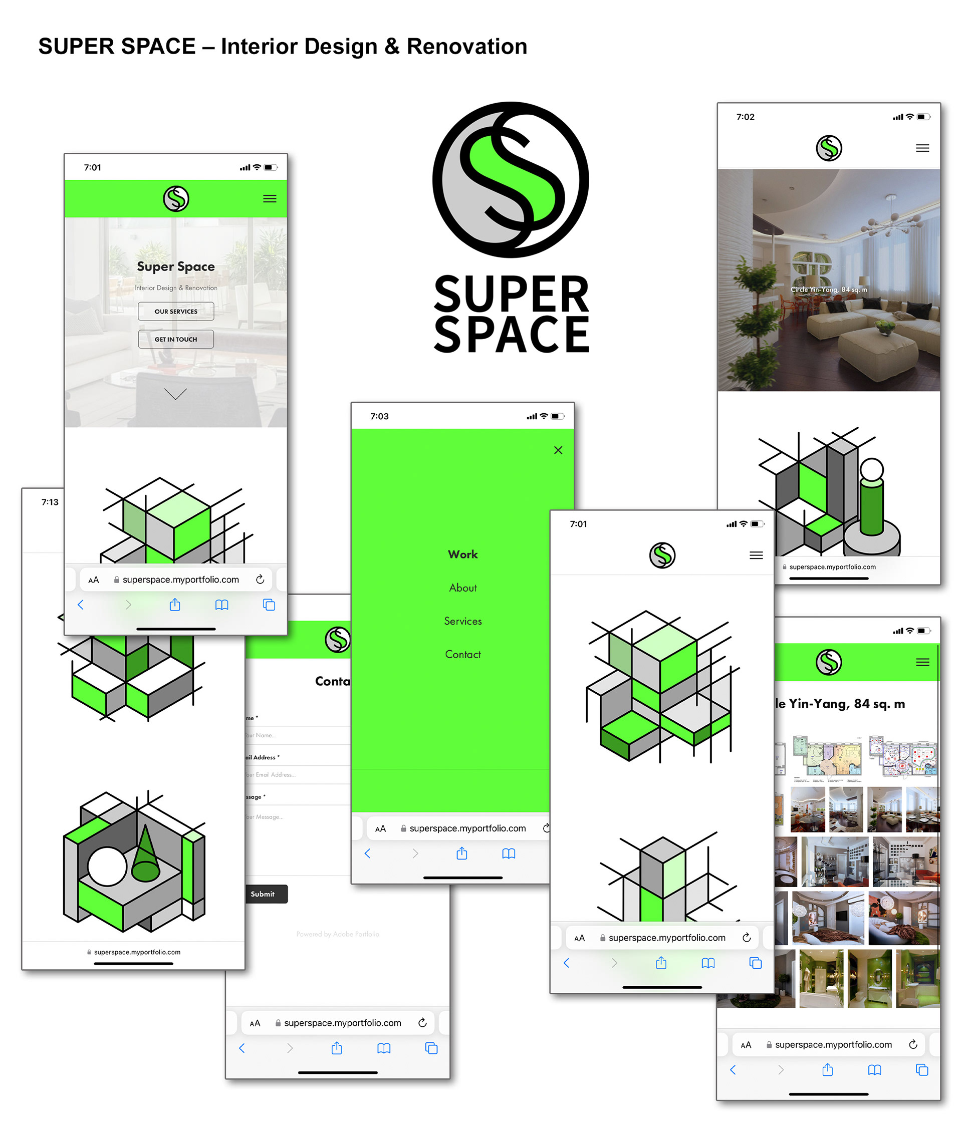 Project Overview