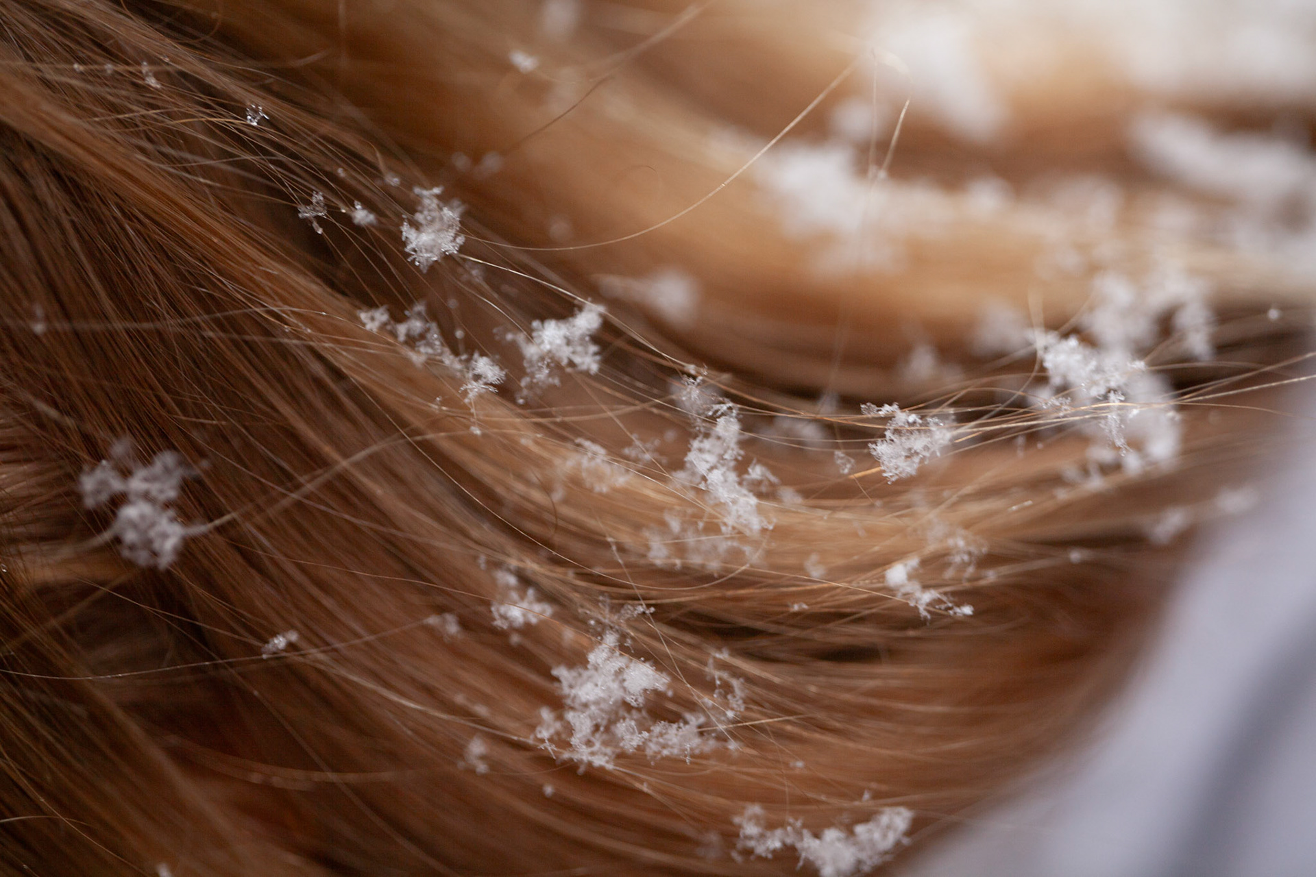 150mm 1-160sec f-2.8 ISO 200