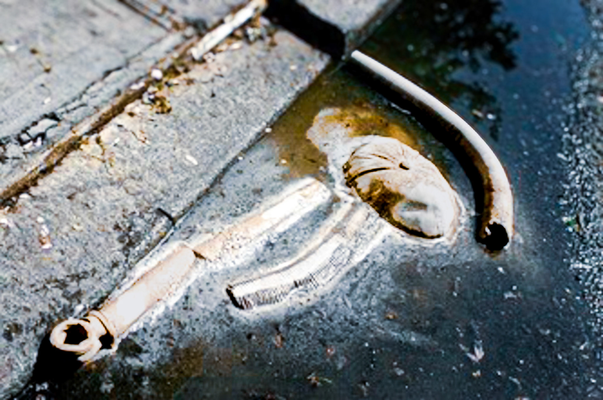 A Momnetary Laps, 2009, Unfired clay, Site Specific Installation