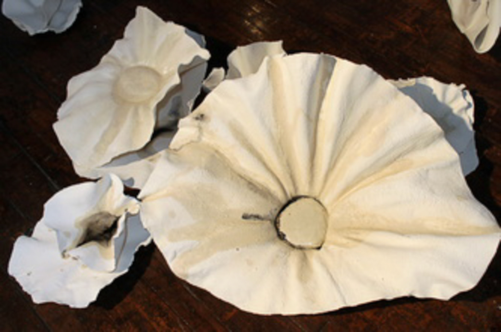 of our own design  Porcelain, Resin, Vinyl. 2012, 2014