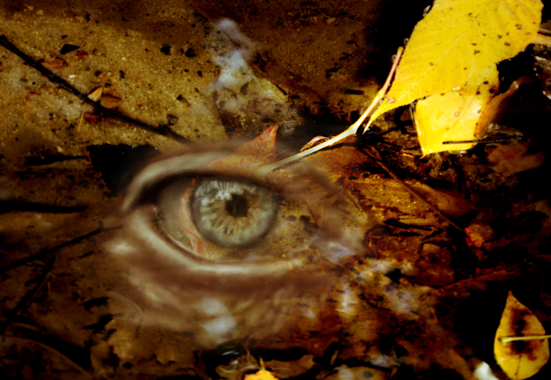 Emulsify 2025: Photography and drawing collage, no AI used.