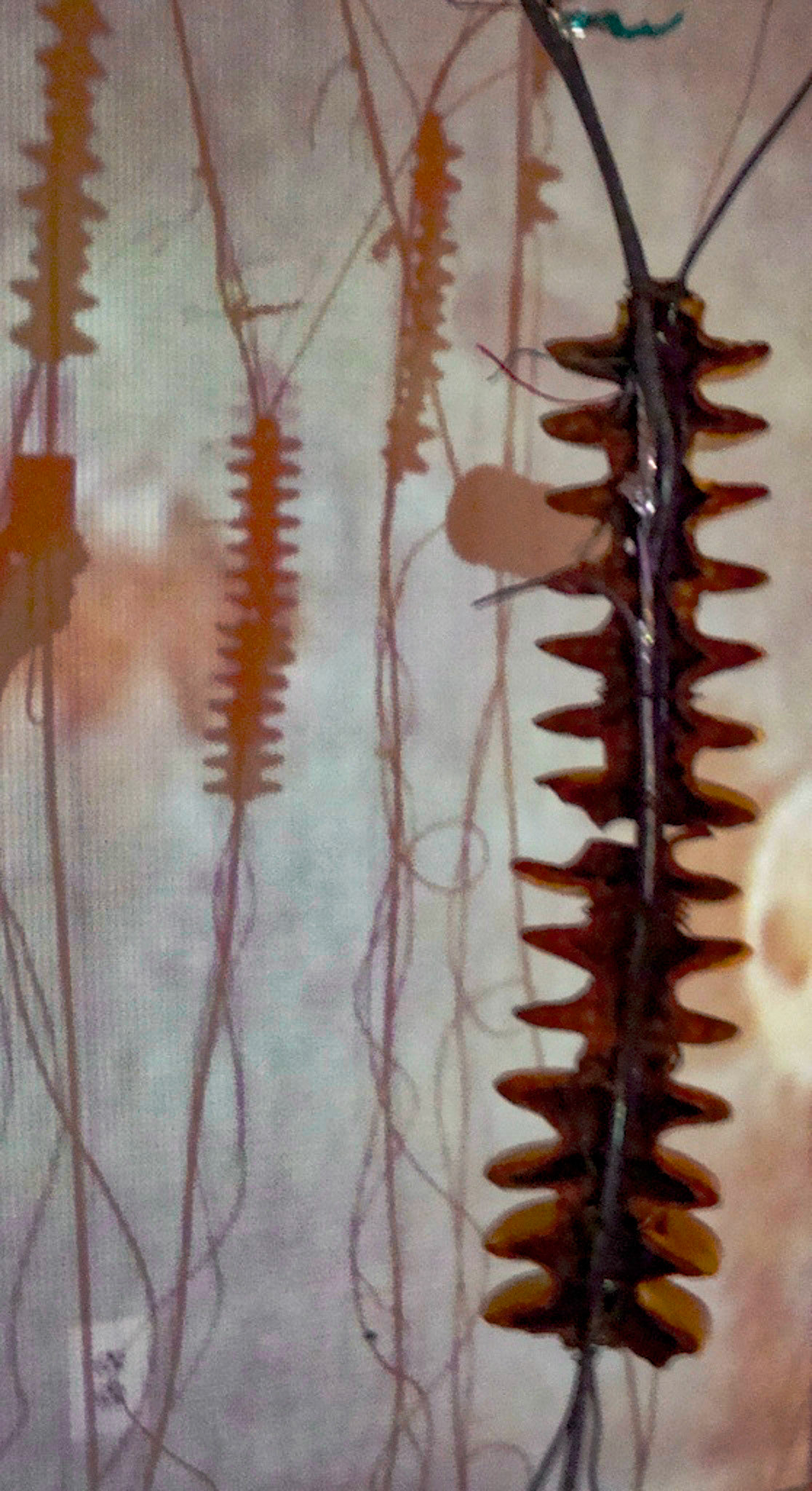 White Noise Porcelain, gold luster, wire, electronic parts, video projection., 2010