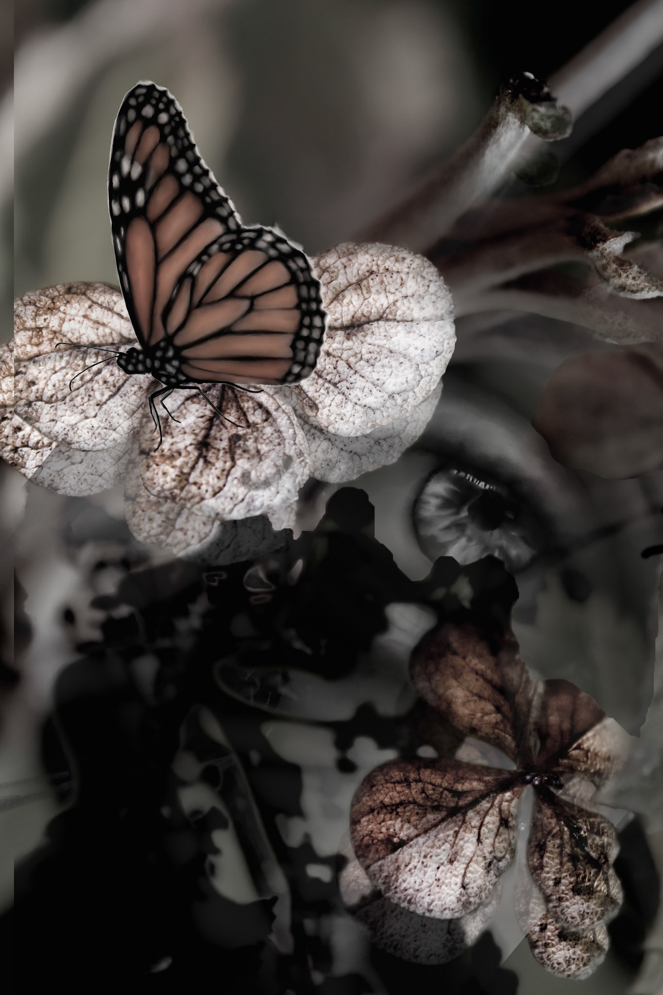 Photography and Drawing collage, no AI used.