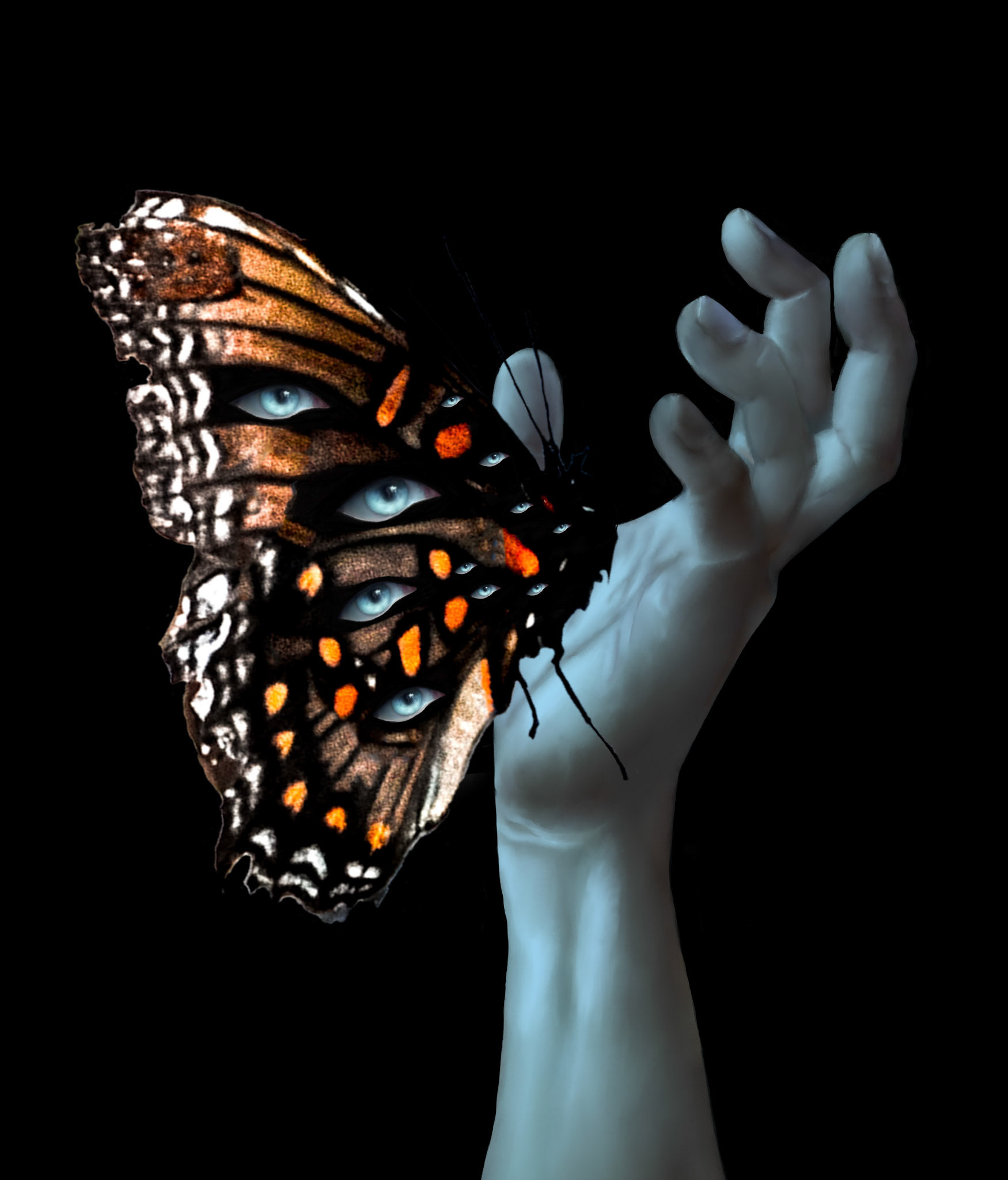 Butterfly Eyes, 2025: Photography and drawing collage, no AI used.