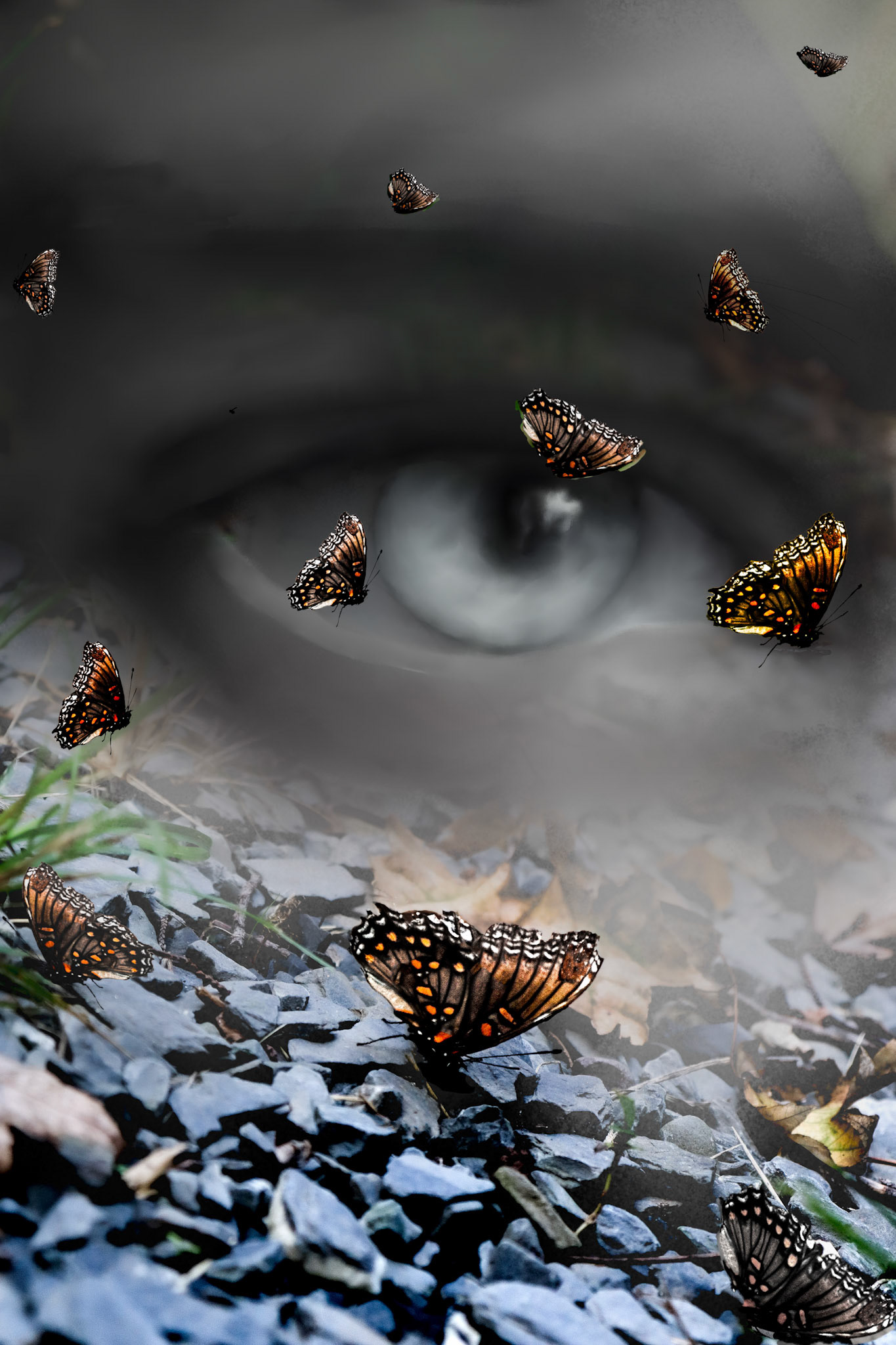 Conflict in Transformation 2025, Emulsify 2025: Photography and drawing collage, no AI used.