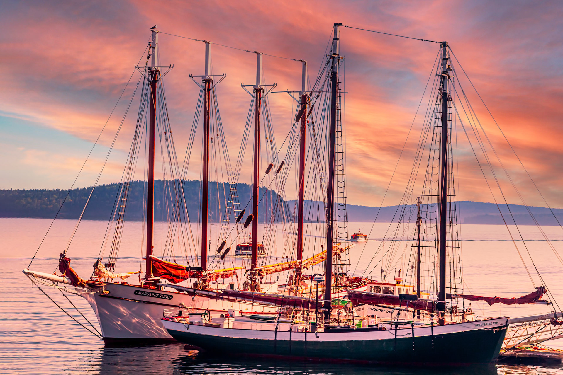 Bar Harbor Schooners - Bar Harbor Maine