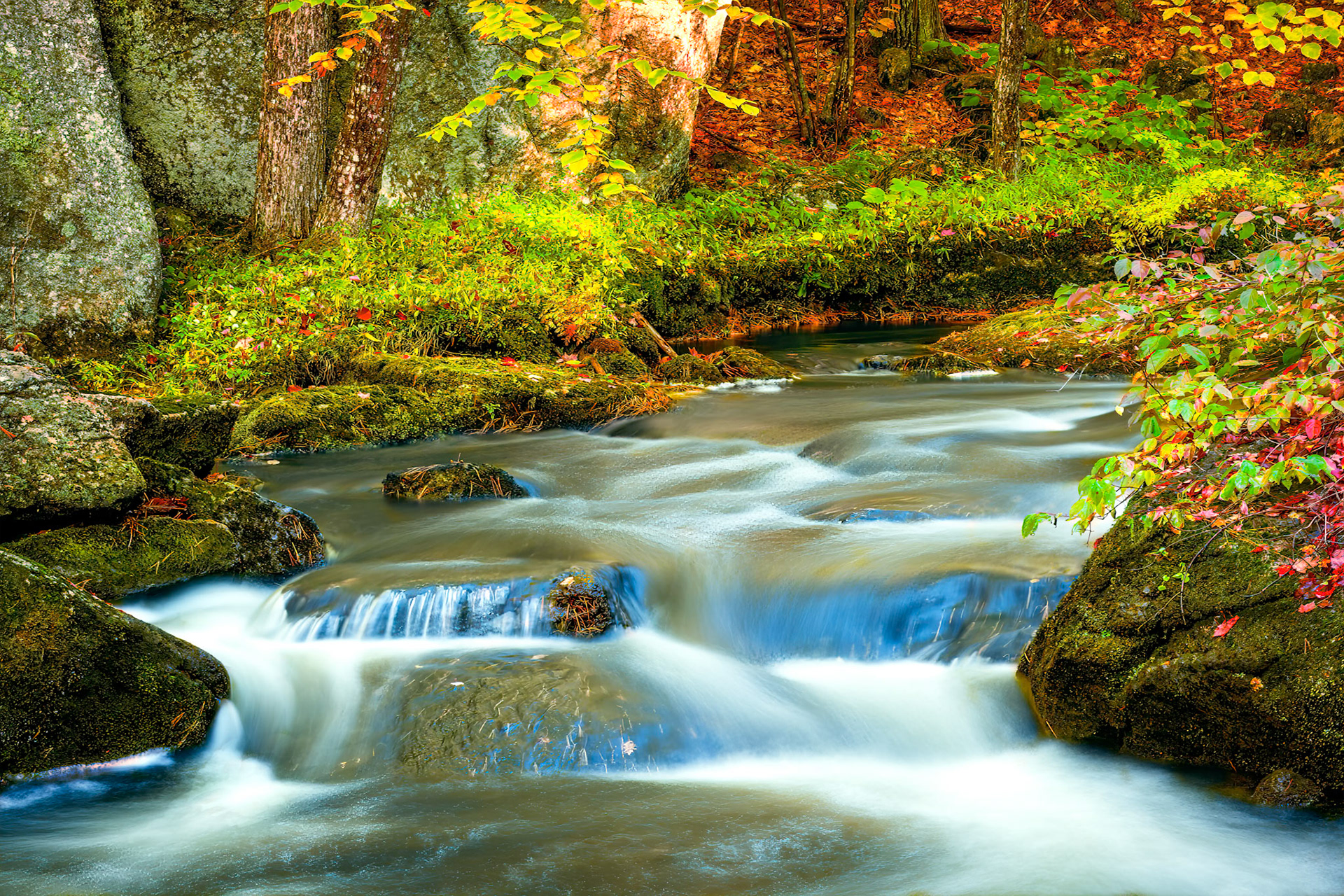 Beard Brook in Fall Color