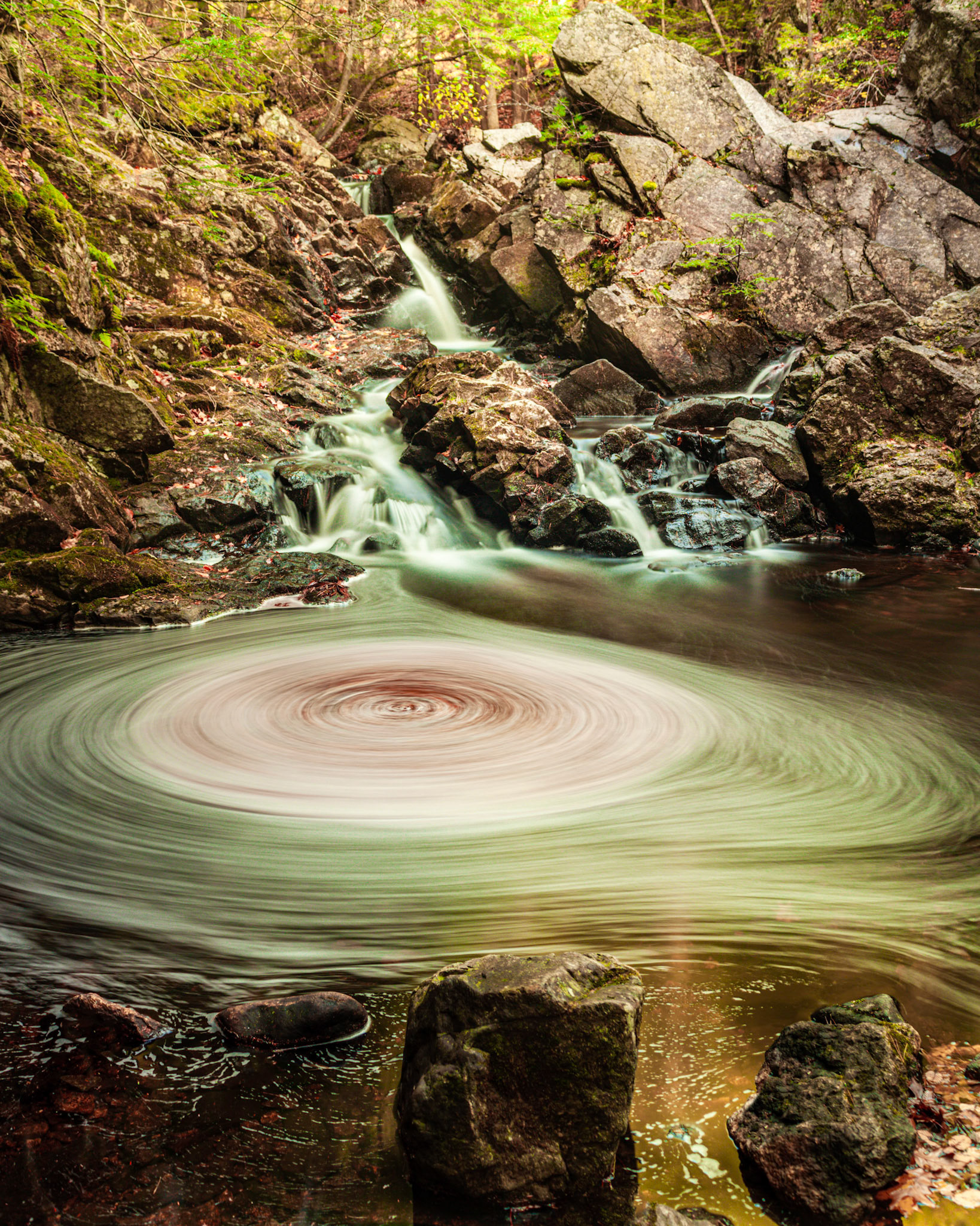 Swirling Leaves