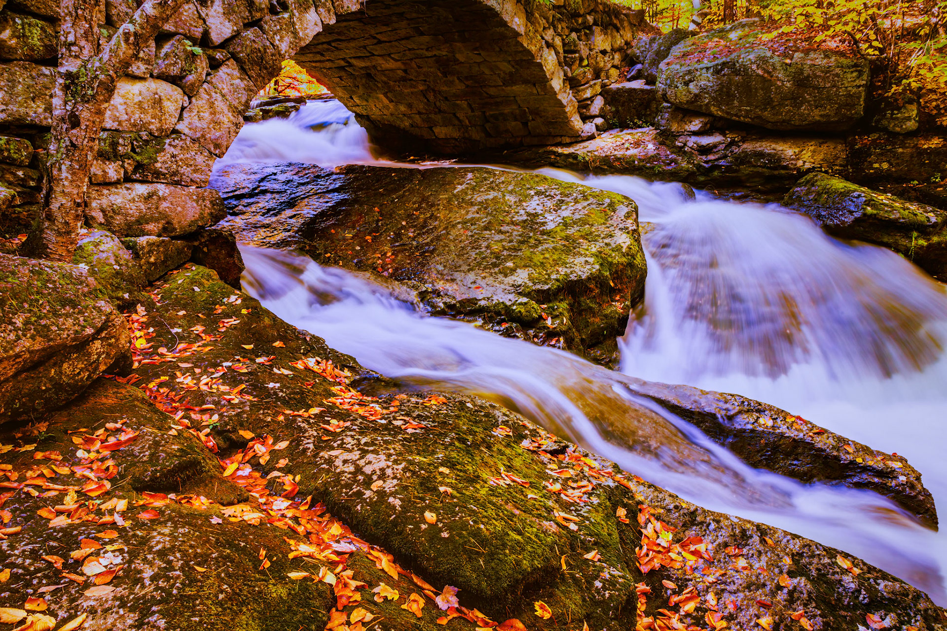 Beard's Brook Stone Bridges #2 - NH
