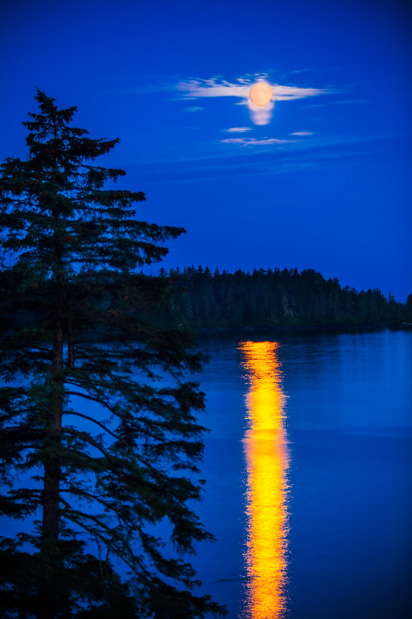 Moon  - Sitka AK