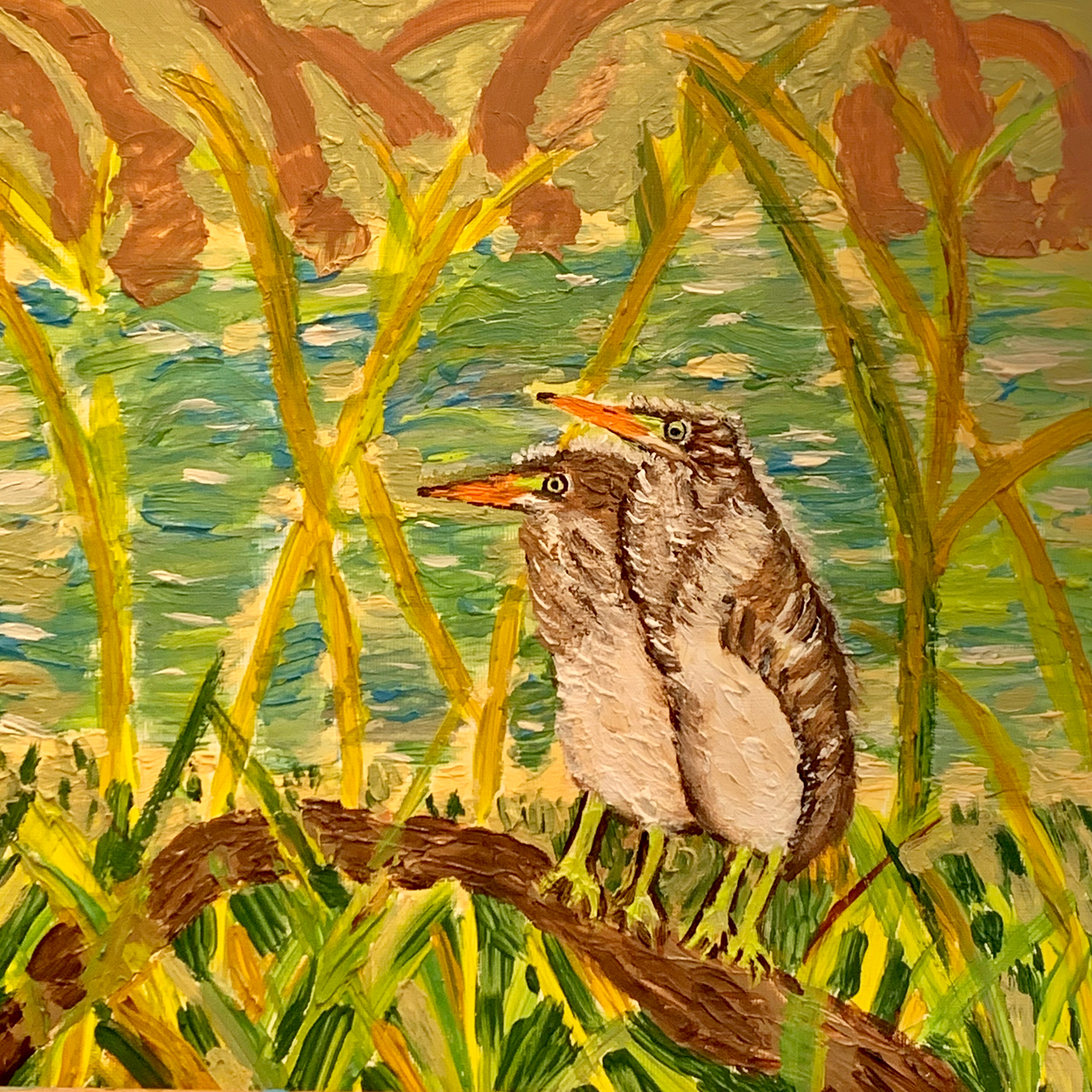 Juvenile Green Herons, Acrylic on Canvas Paper