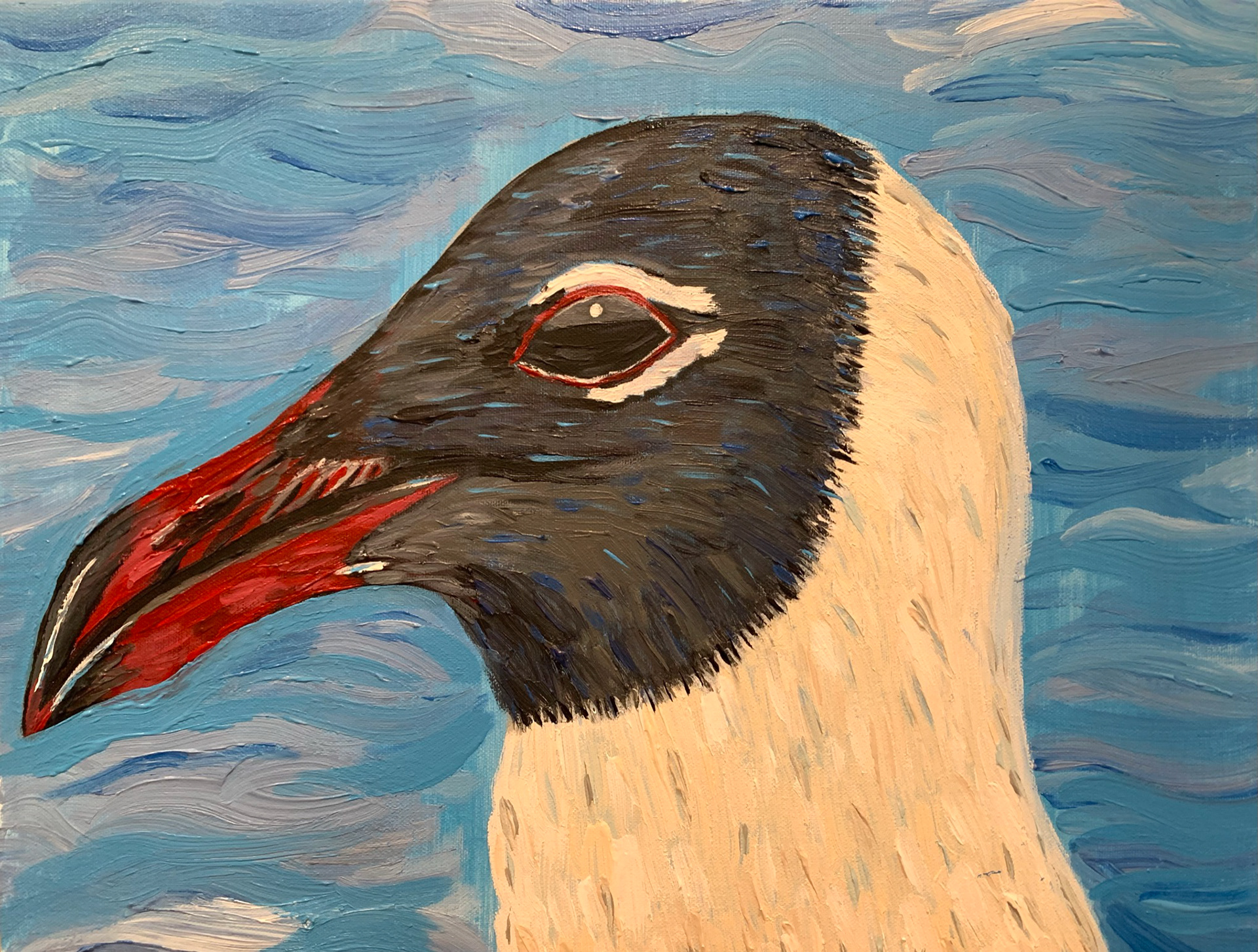 Laughing Gull by the Sea, Acrylic on Canvas, 18 x 24 inches