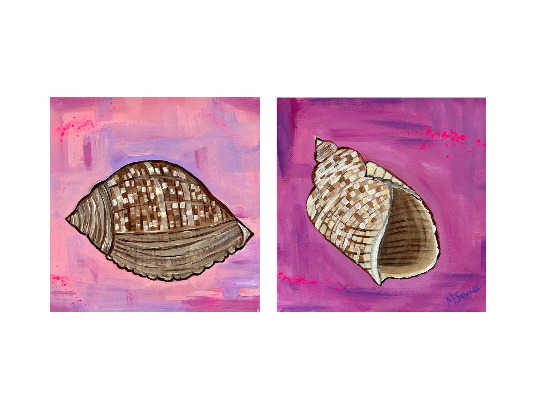 Atlantic Partridge Tun Shell, Diptych, Acrylic on Canvas