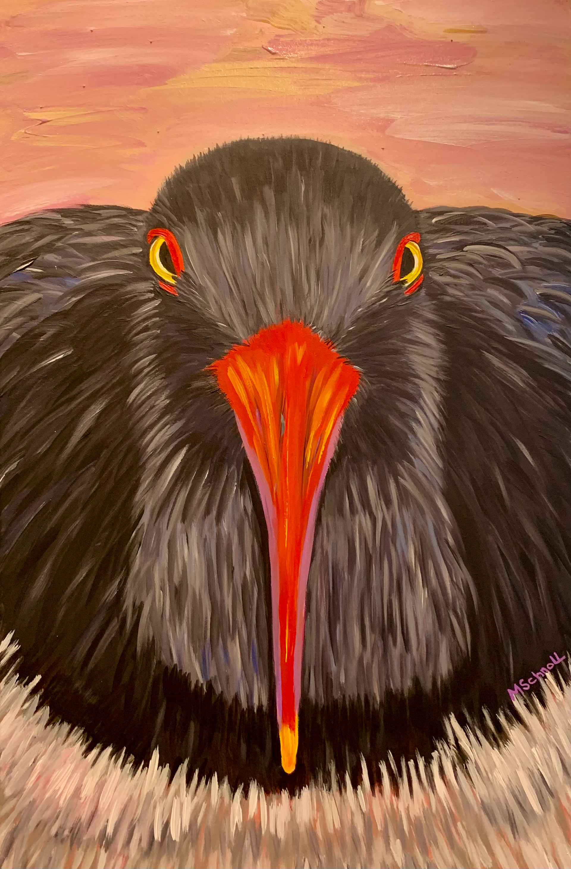American Oystercatcher, Acrylic on. Anvas
