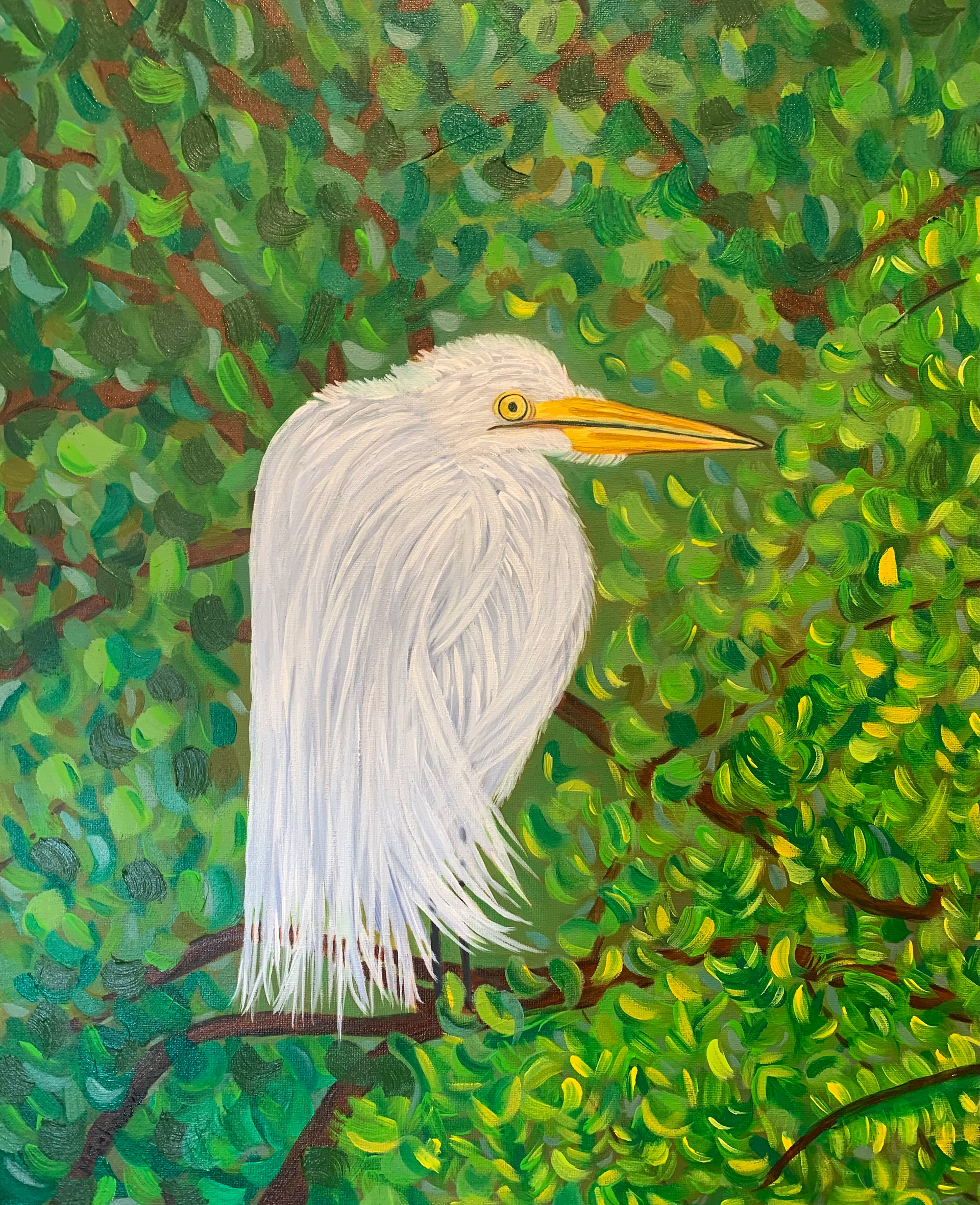 Great Egret in Breeding Plumage, 50 x 60 cm