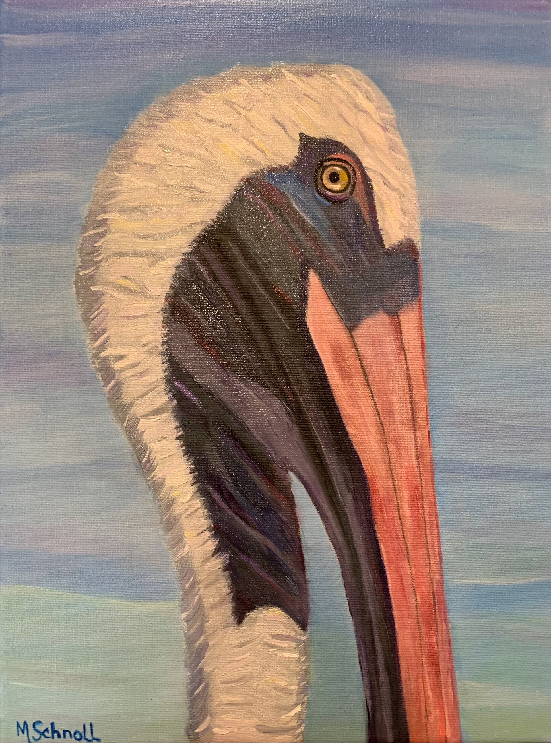 SOLD Pelican Portrait, Oil on Canvas