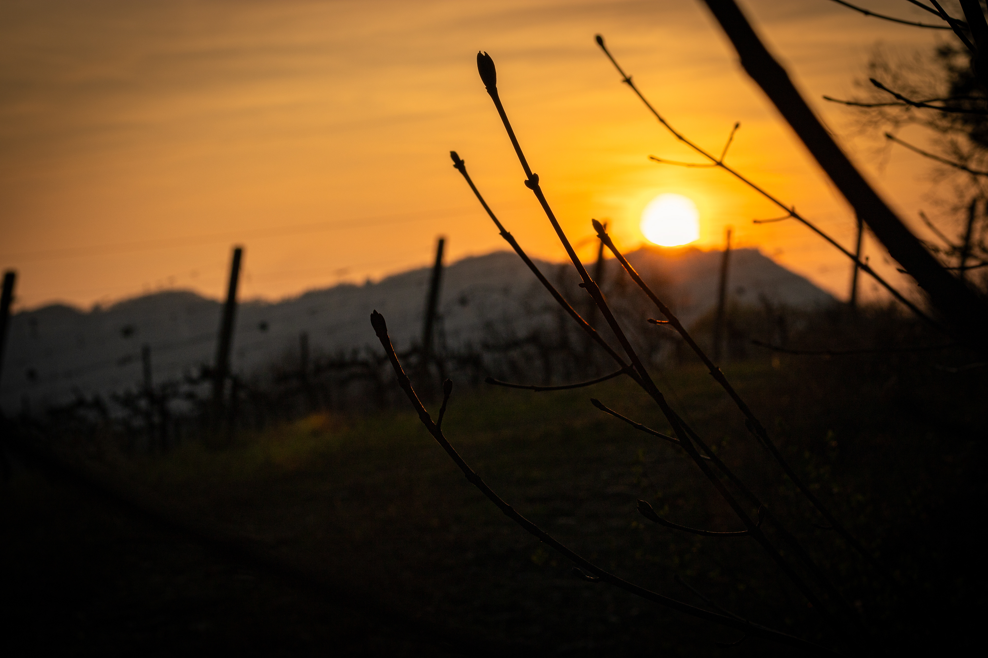 Rivoli V.se (Veneto)