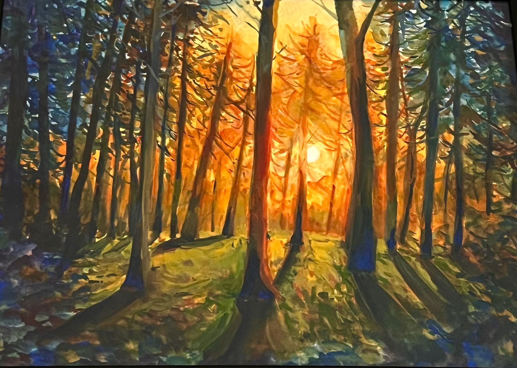 Sunset & Trees - 2023