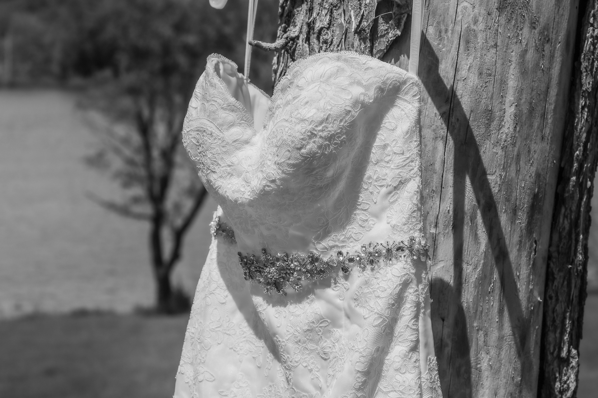 Beautiful Wedding Dress.
