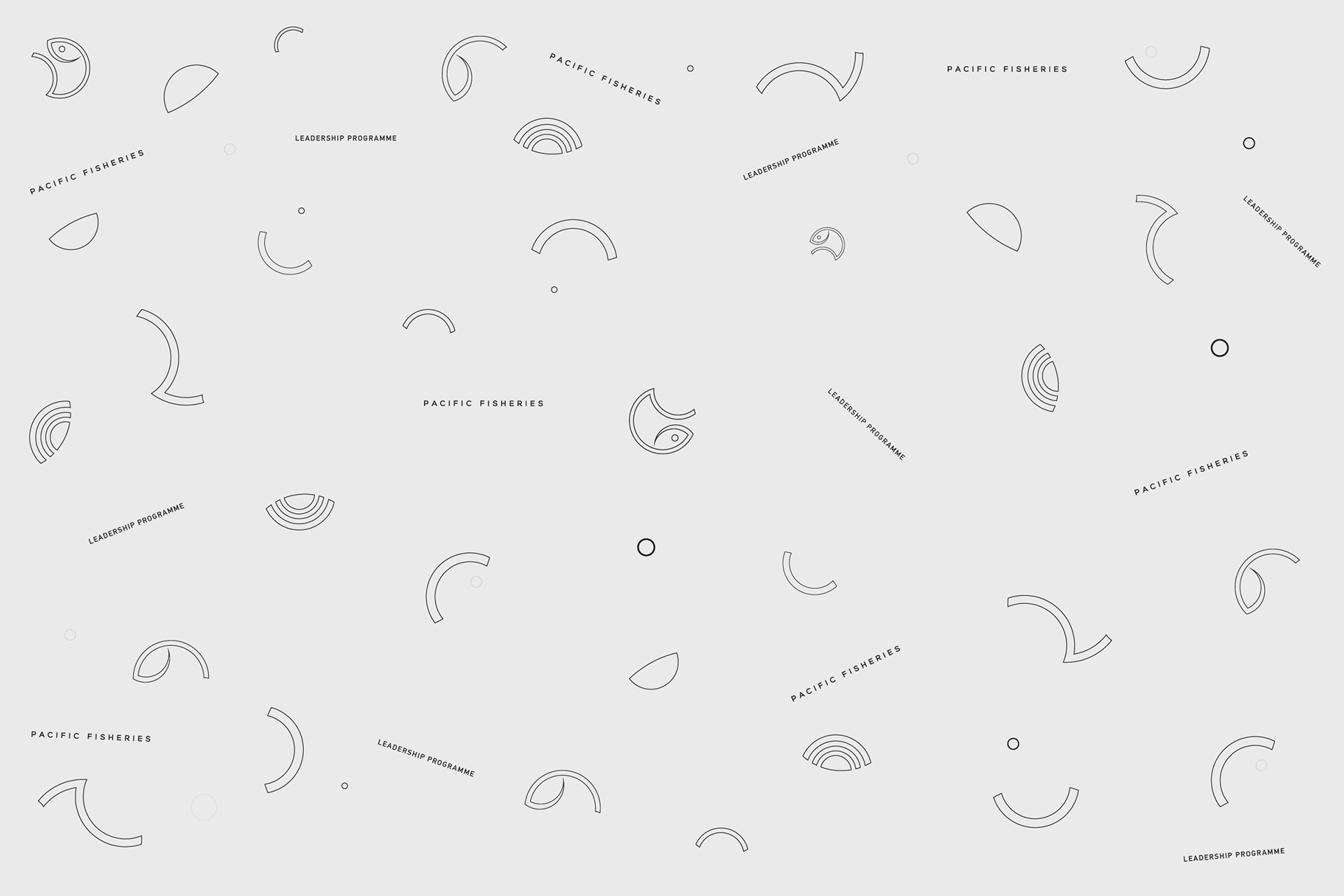 Client wanted to use the elements of their logo as a background for their website.