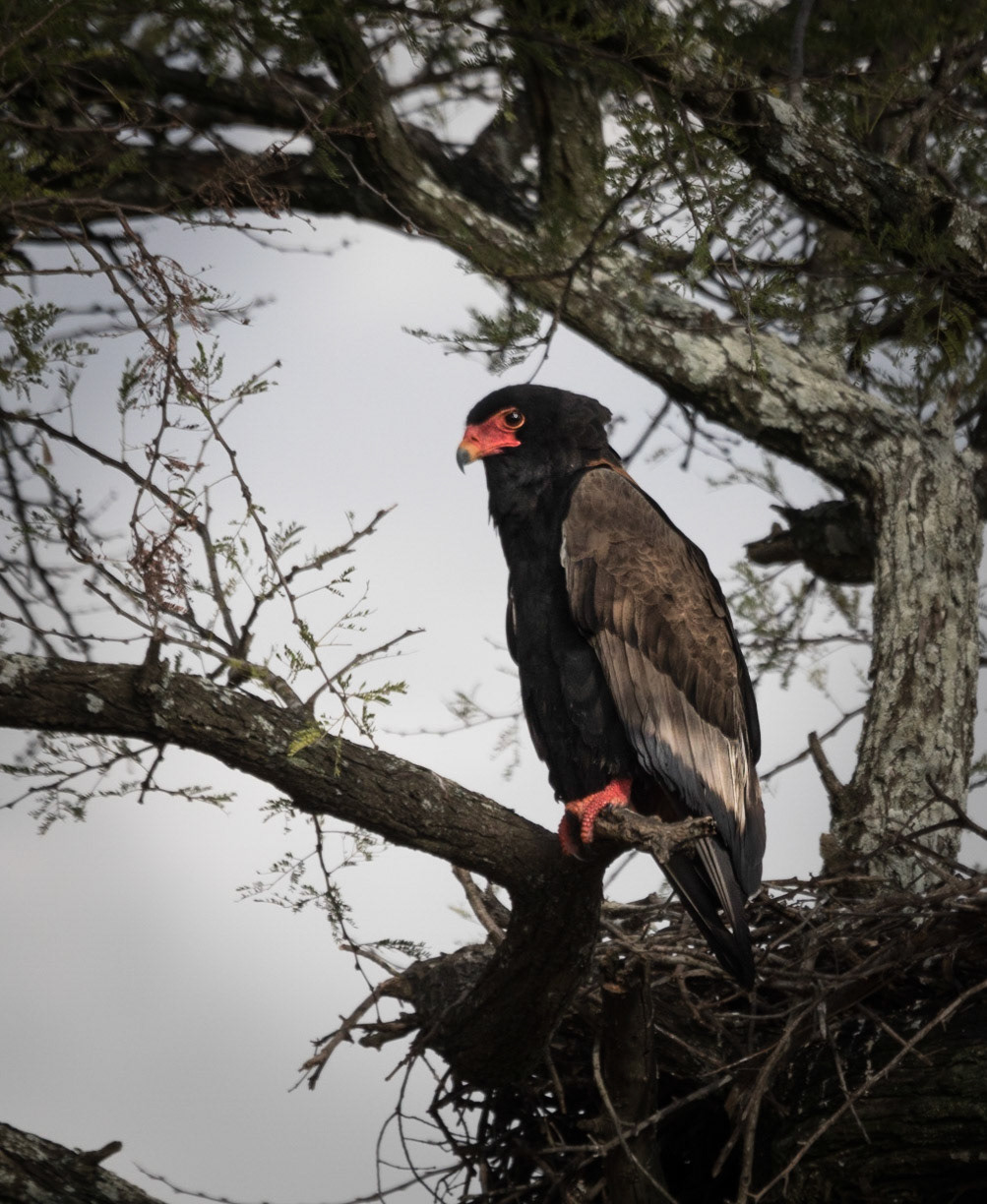 Photo by: Omer Salom http://osalom.smugmug.com