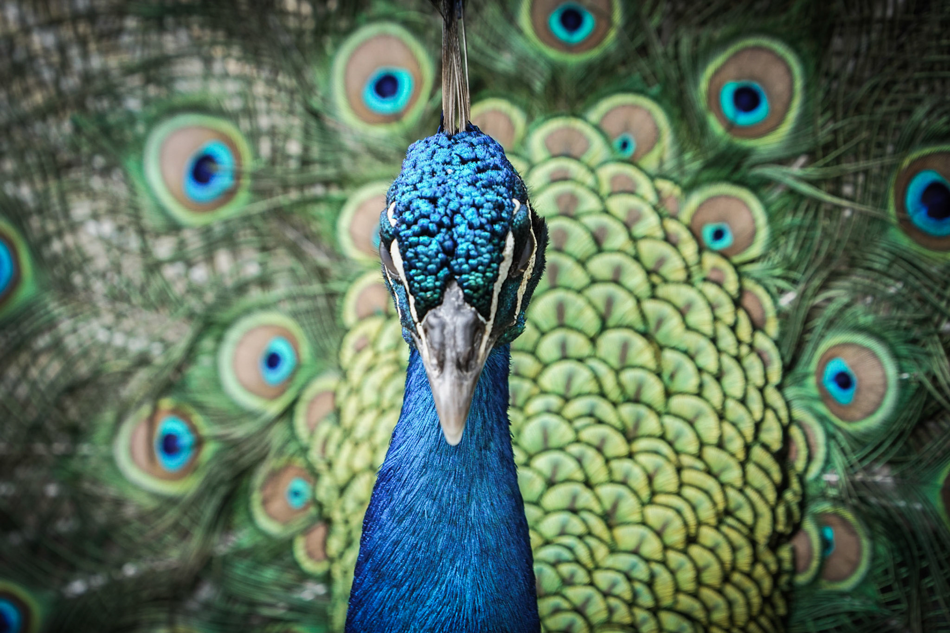 Photo by: Omer Salom http://osalom.smugmug.com