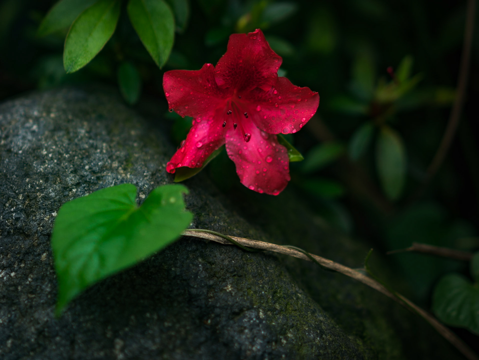 Photo by: Omer Salom http://osalom.smugmug.com